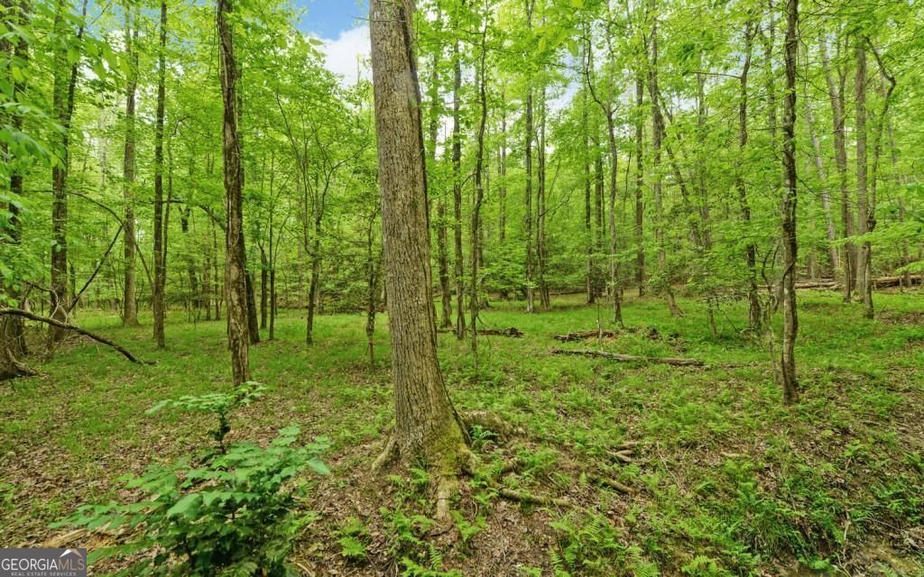 0 Honey Tree Terrace Property Photo 23