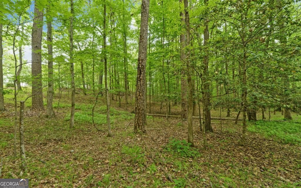 0 Honey Tree Terrace Property Photo 24