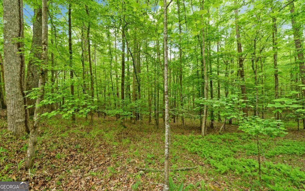 0 Honey Tree Terrace Property Photo 25