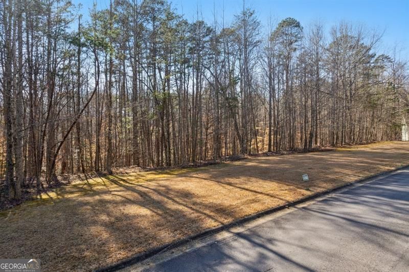 0 Honey Tree Terrace Property Photo 31
