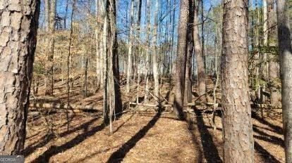 0 Honey Tree Terrace Property Photo 35