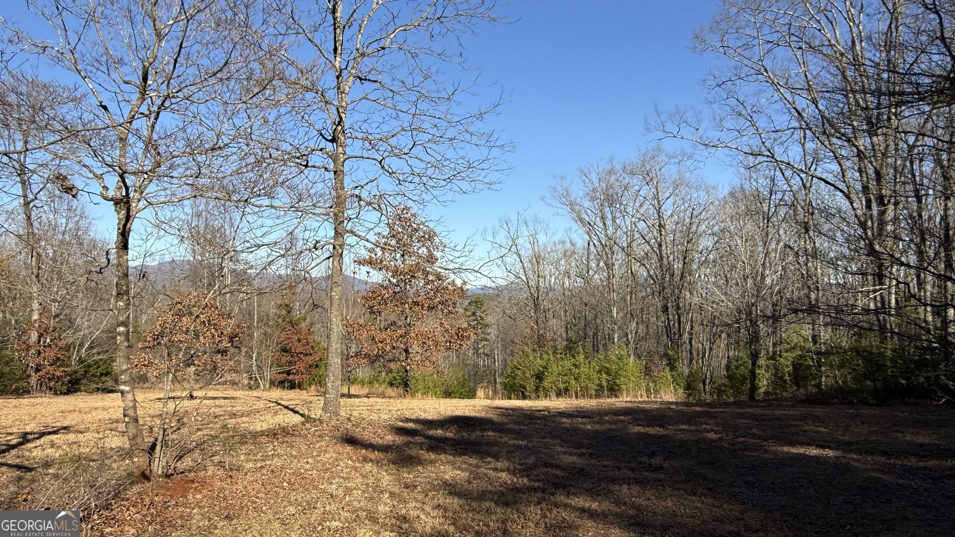 0 Sassafrass Ridge Drive Property Photo 2