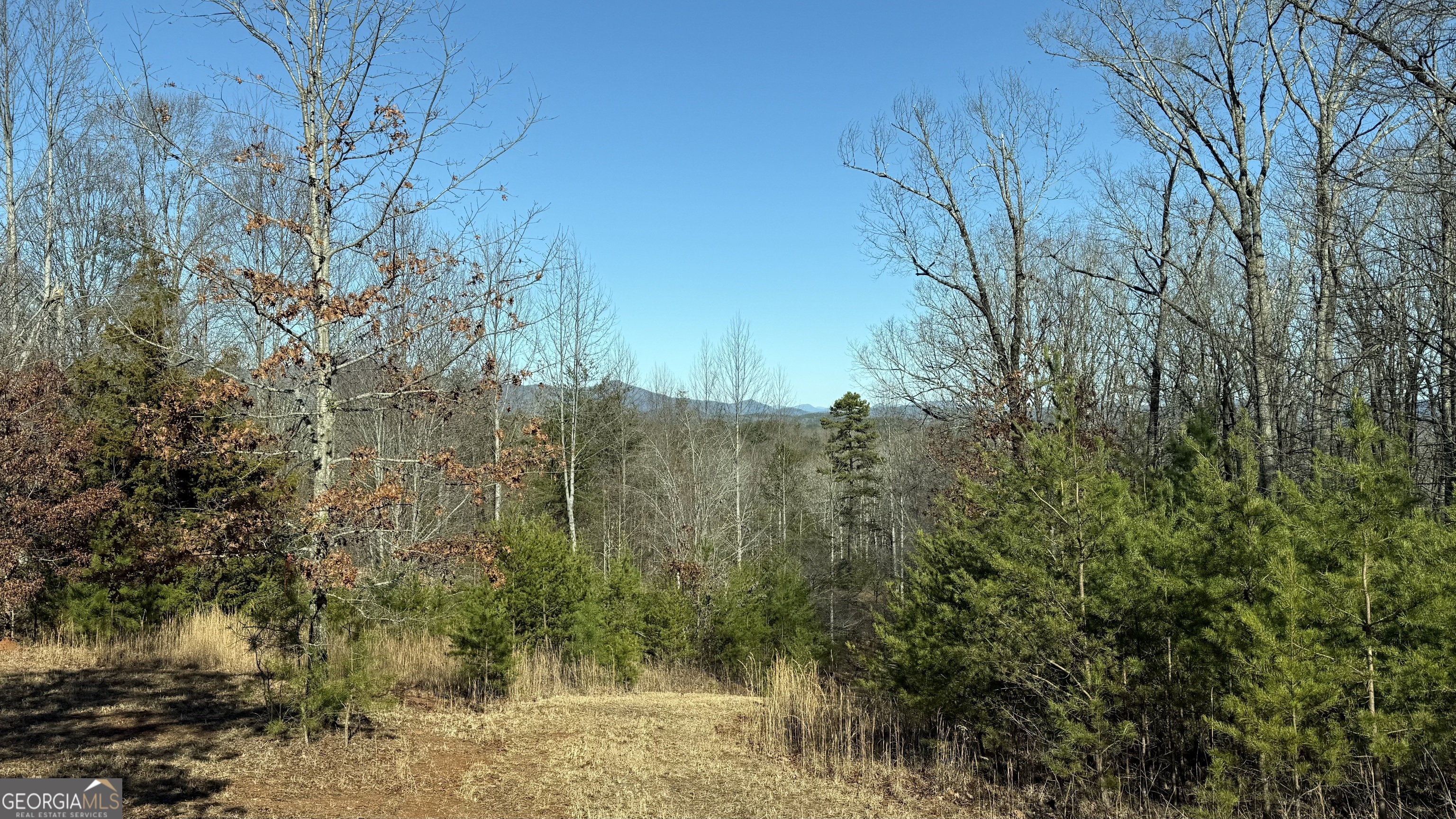 0 Sassafrass Ridge Drive Property Photo 9