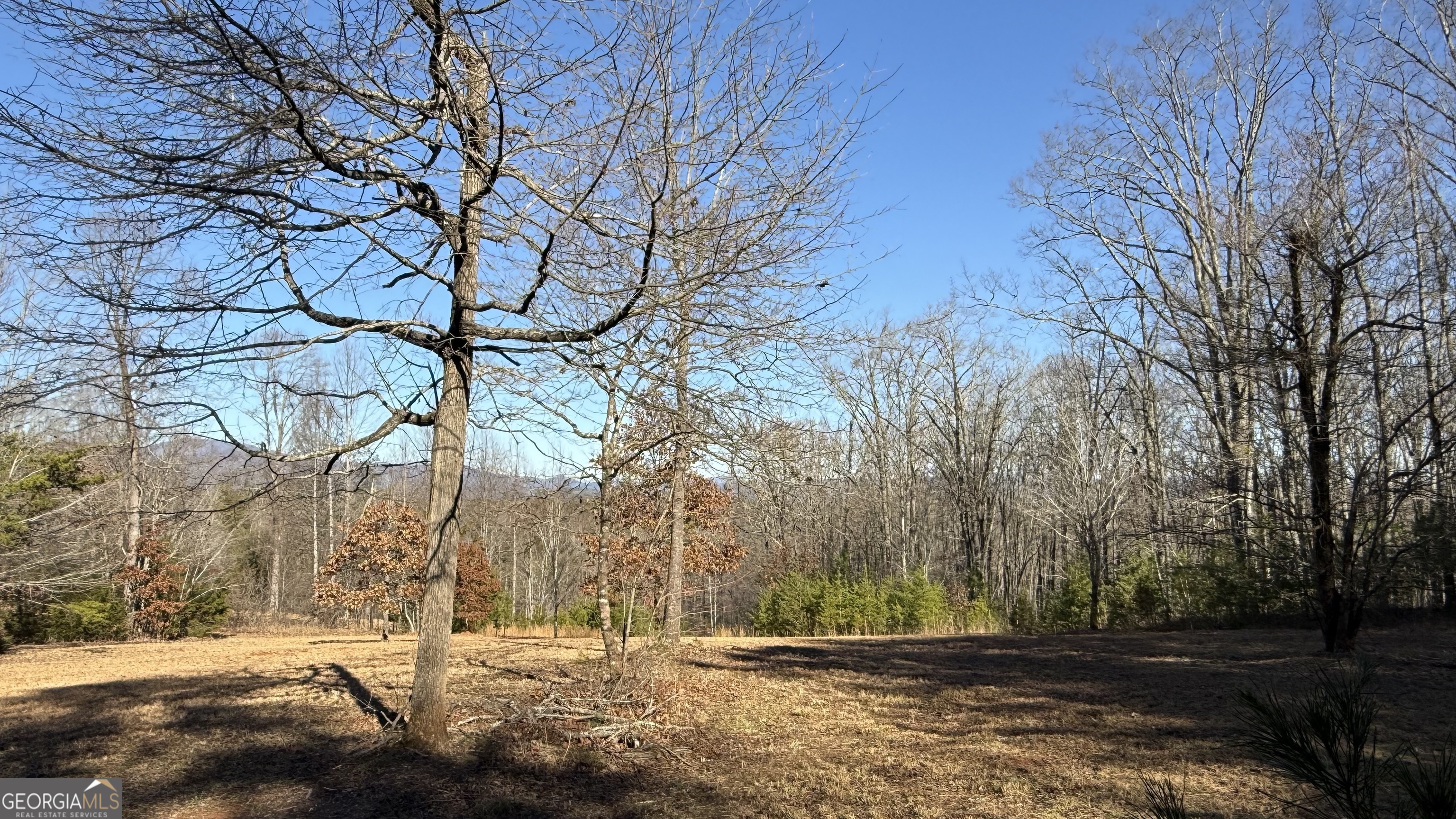 0 Sassafrass Ridge Drive Property Photo 10