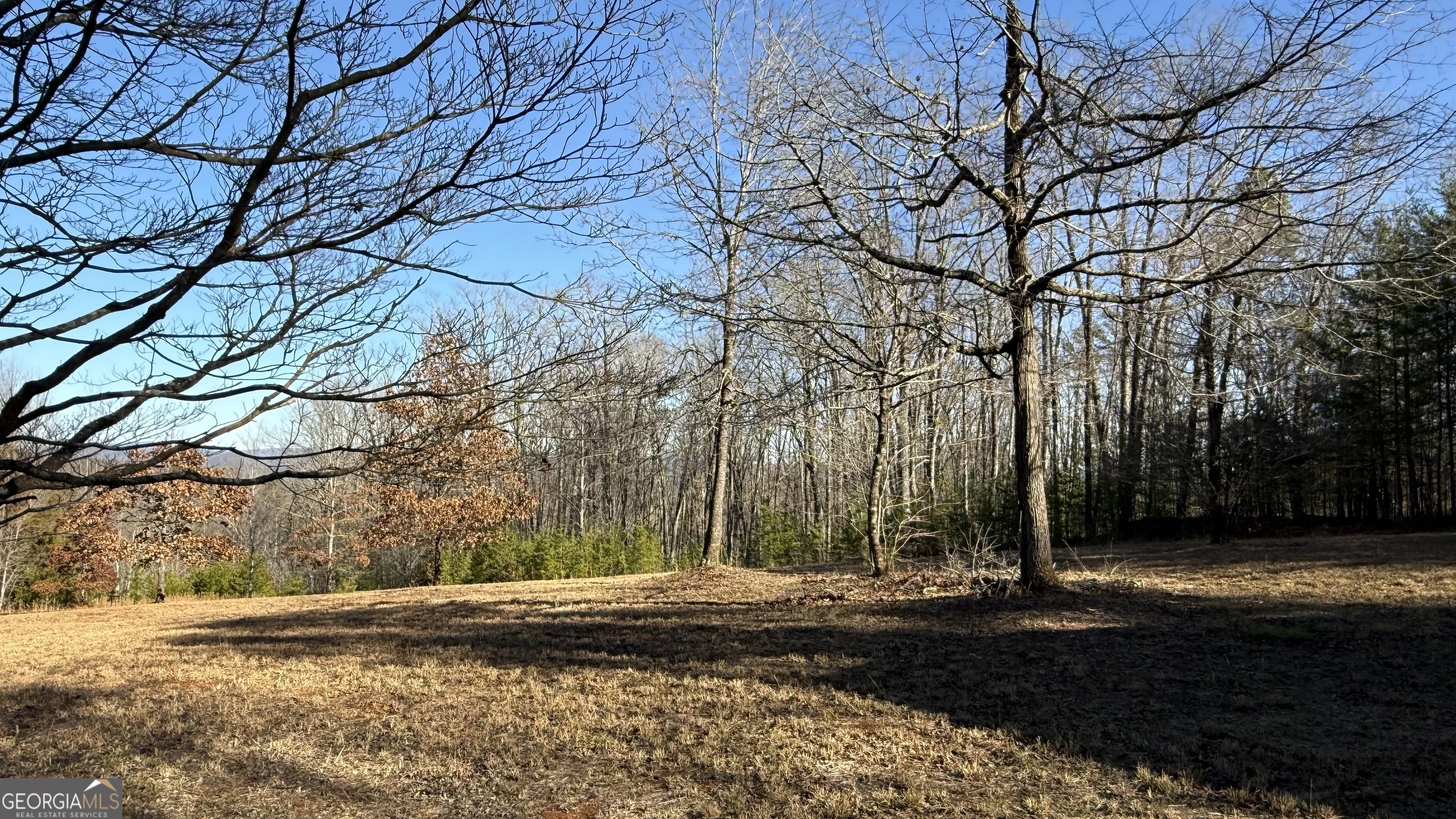 0 Sassafrass Ridge Drive Property Photo 11