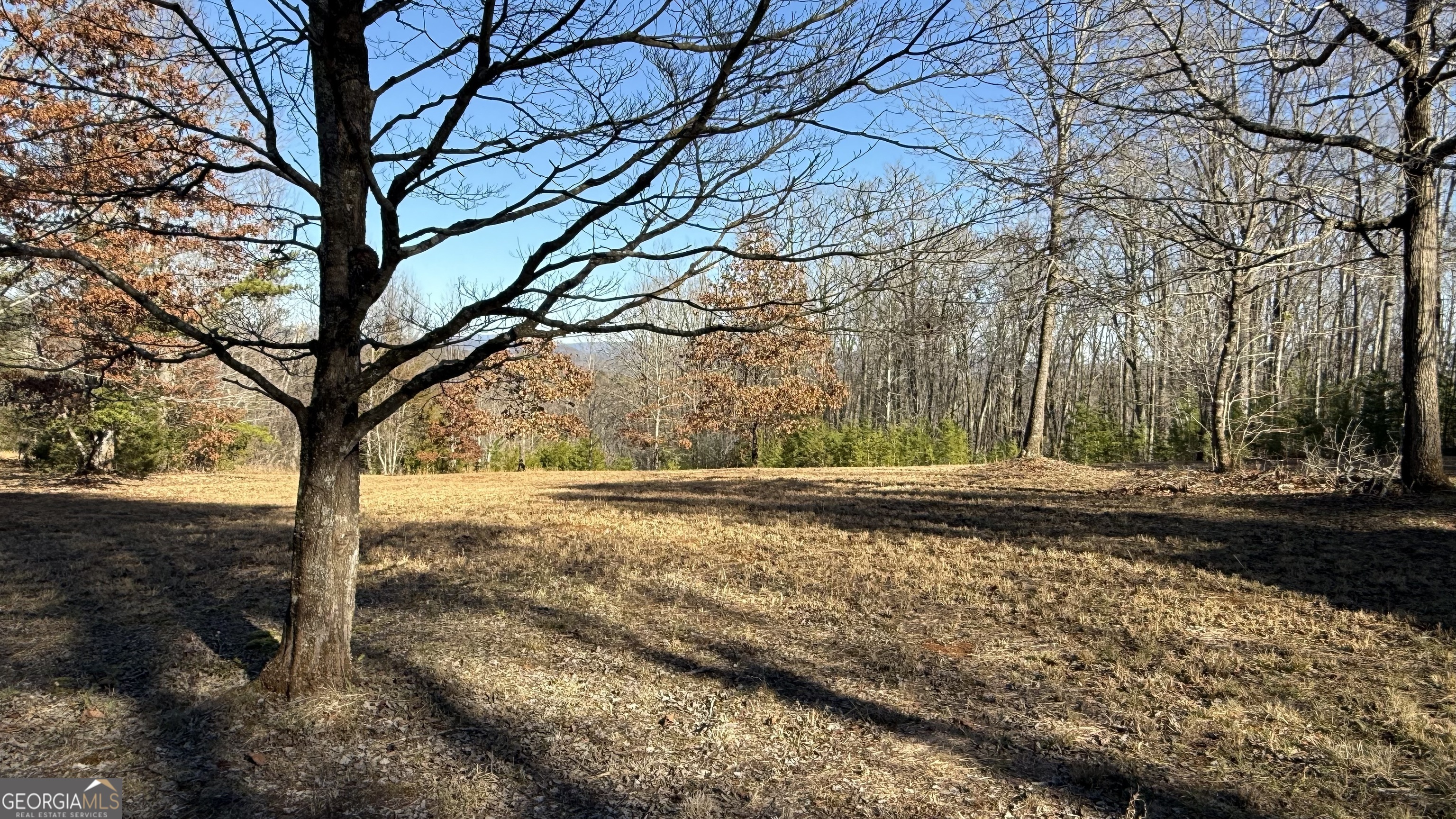0 Sassafrass Ridge Drive Property Photo 12