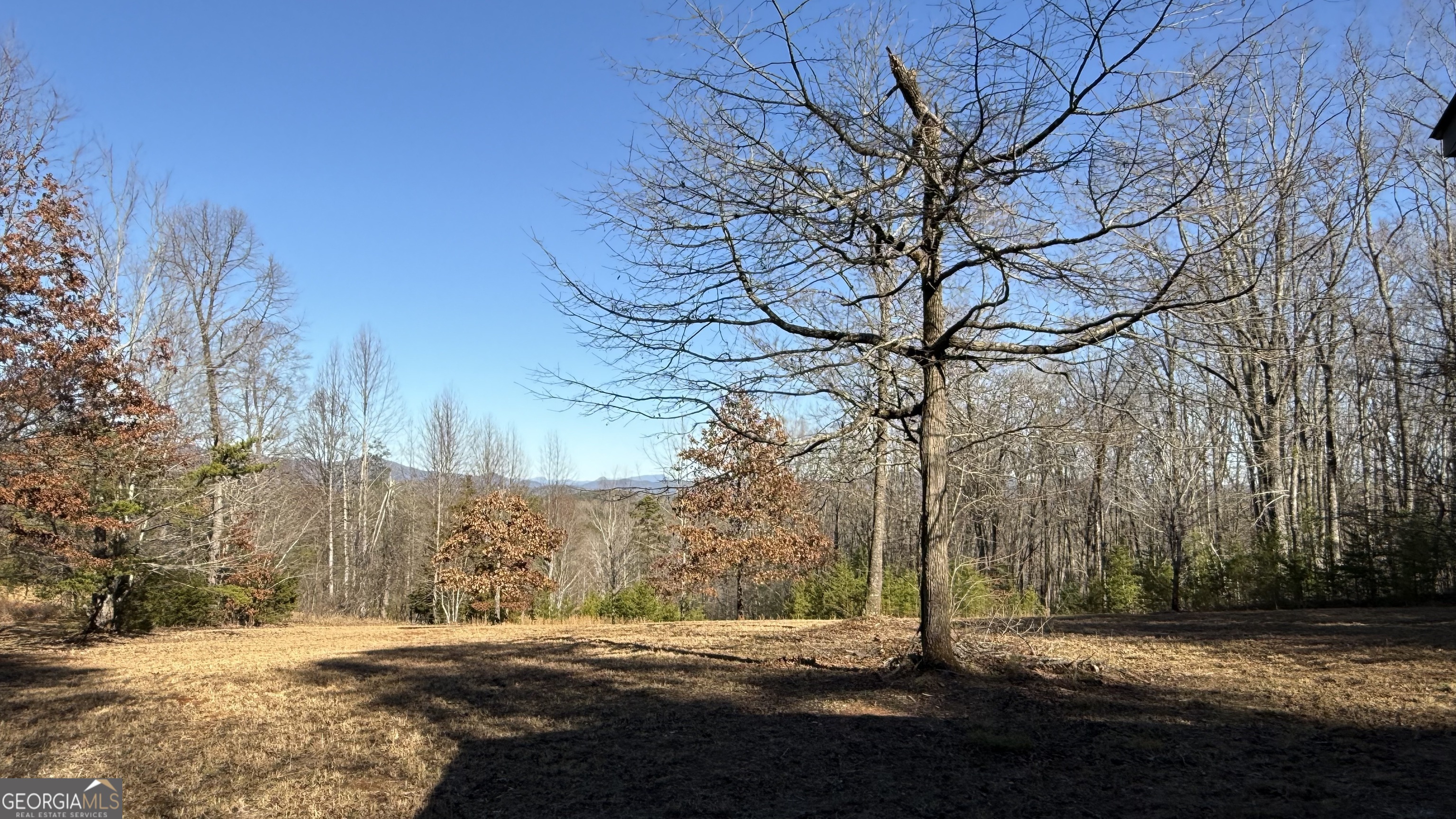 0 Sassafrass Ridge Drive Property Photo 13