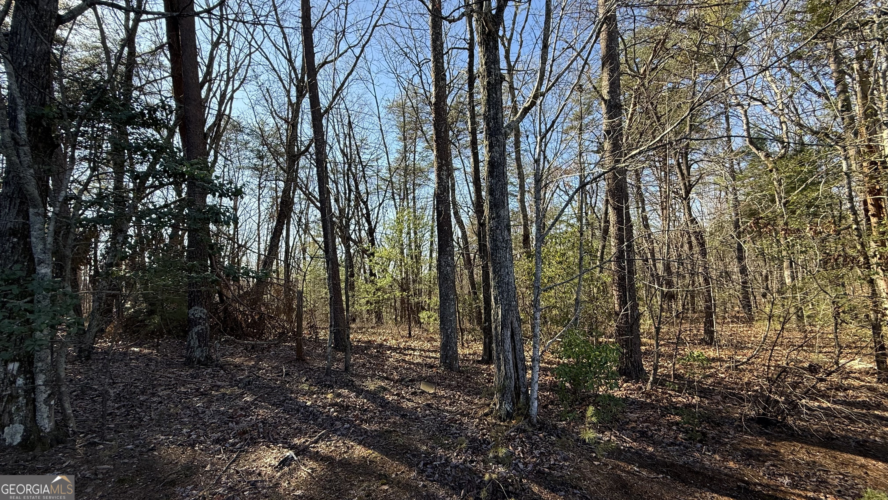 0 Sassafrass Ridge Drive Property Photo 14