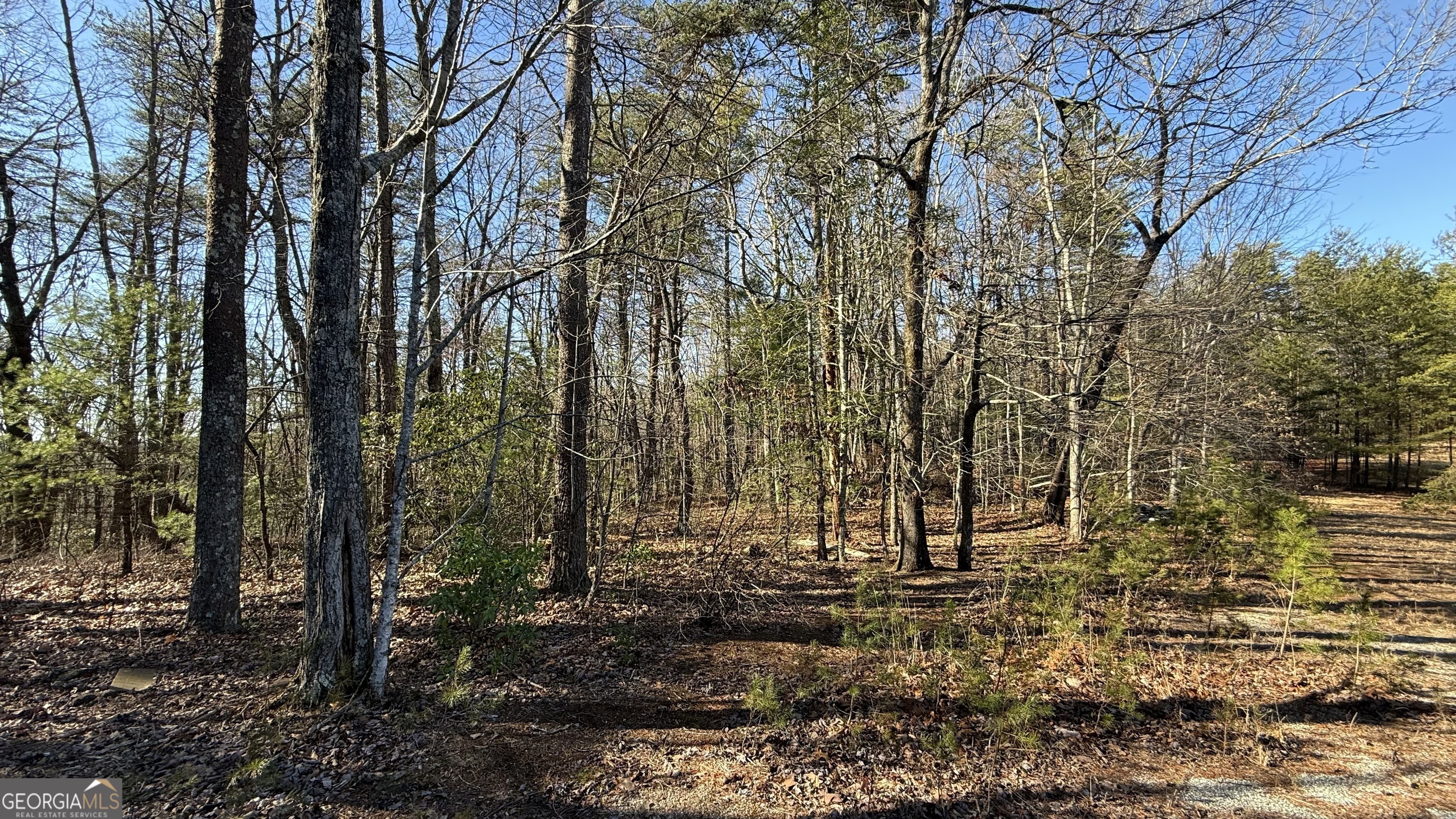 0 Sassafrass Ridge Drive Property Photo 15