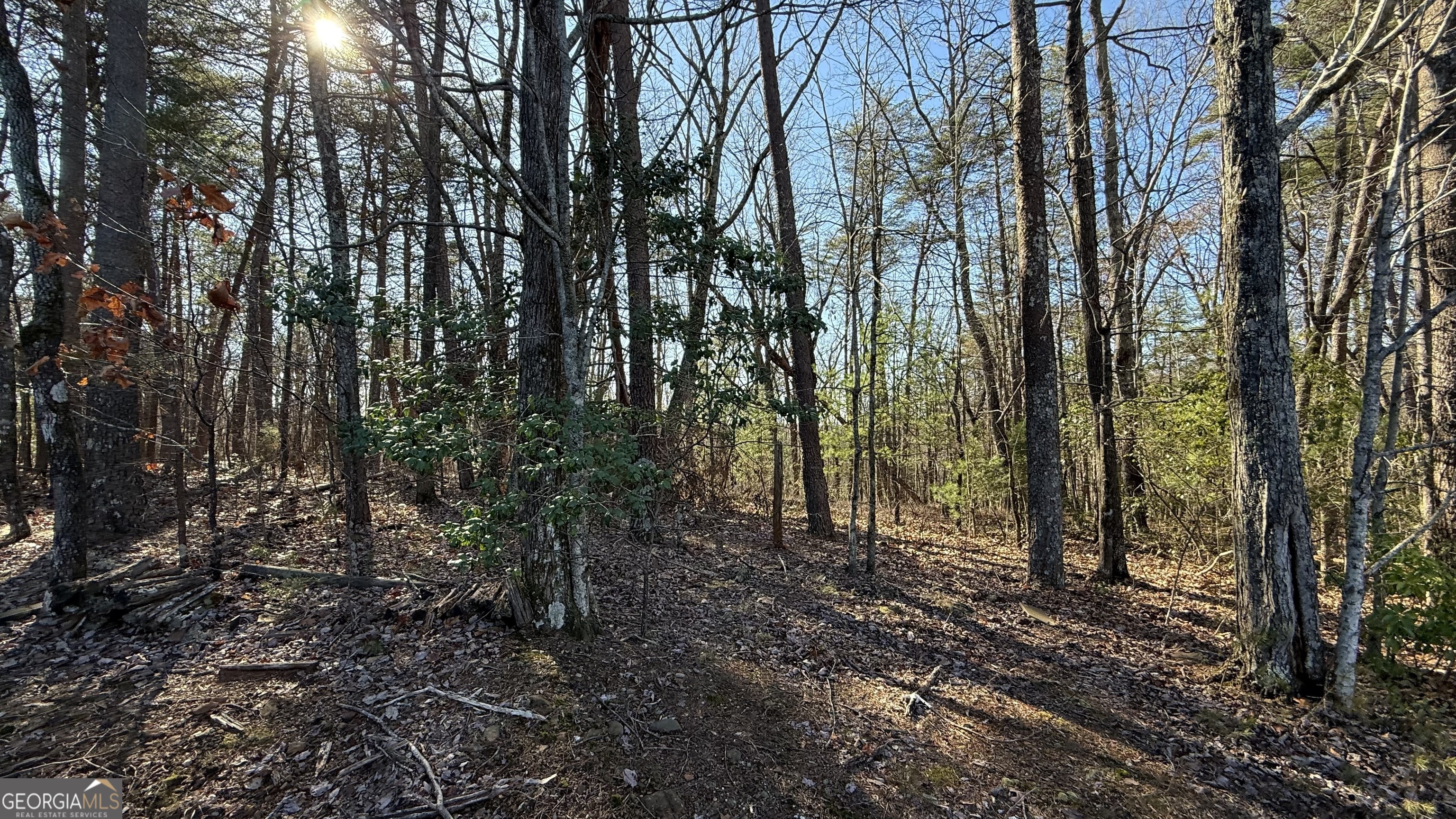 0 Sassafrass Ridge Drive Property Photo 16