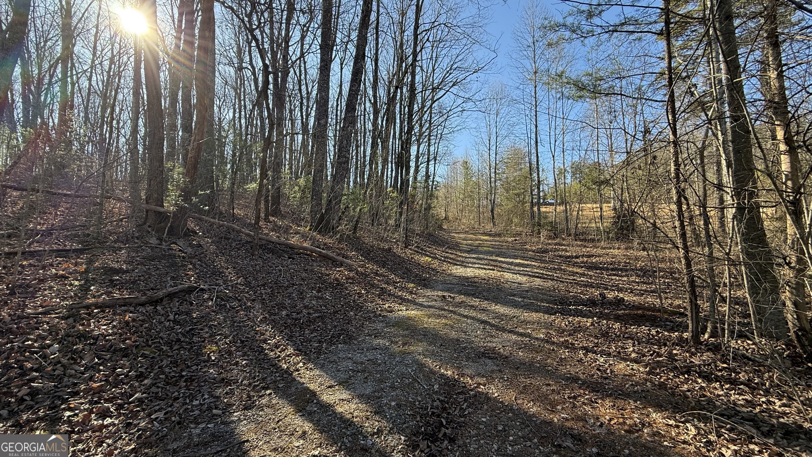 0 Sassafrass Ridge Drive Property Photo 17