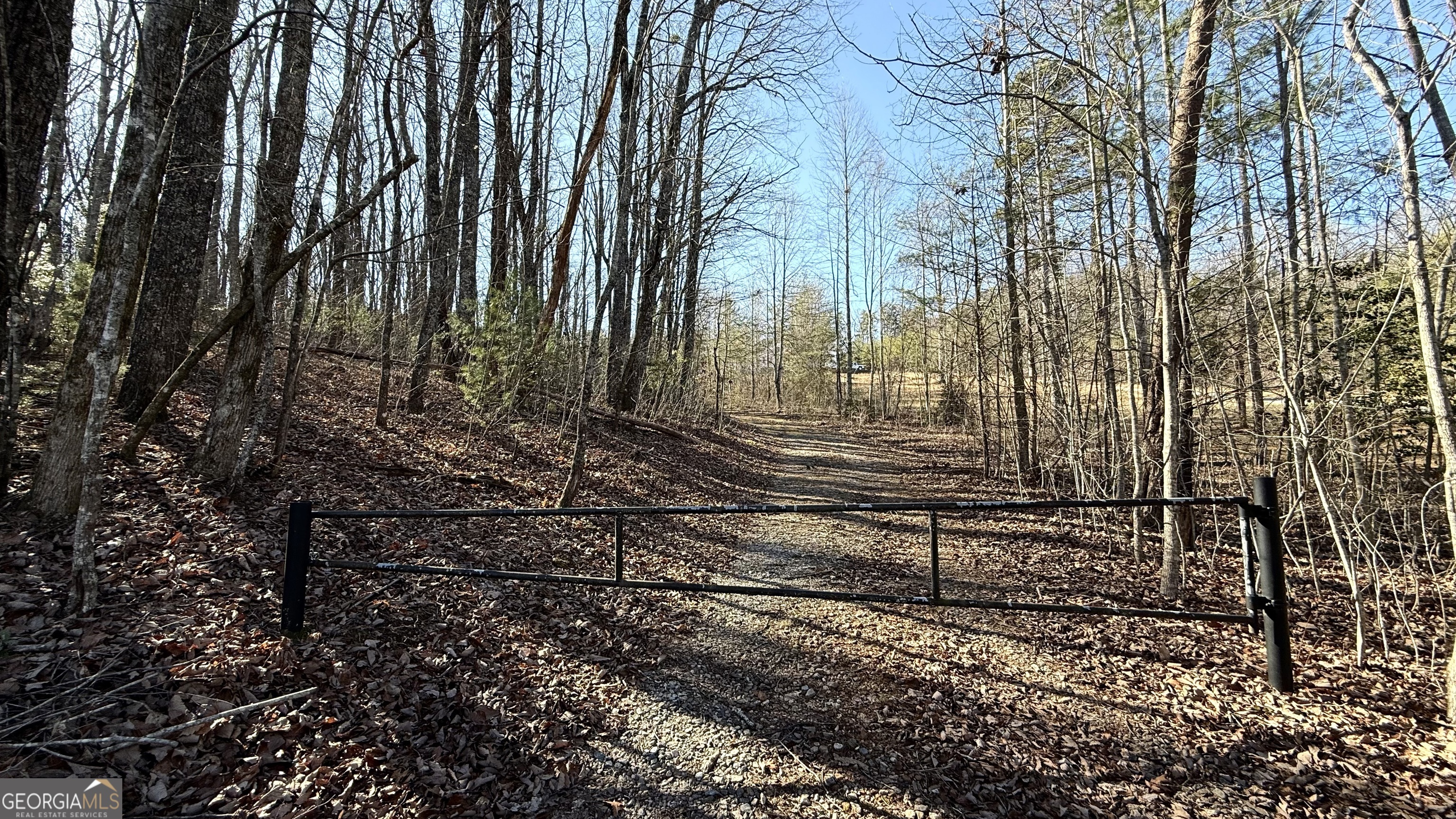 0 Sassafrass Ridge Drive Property Photo 18