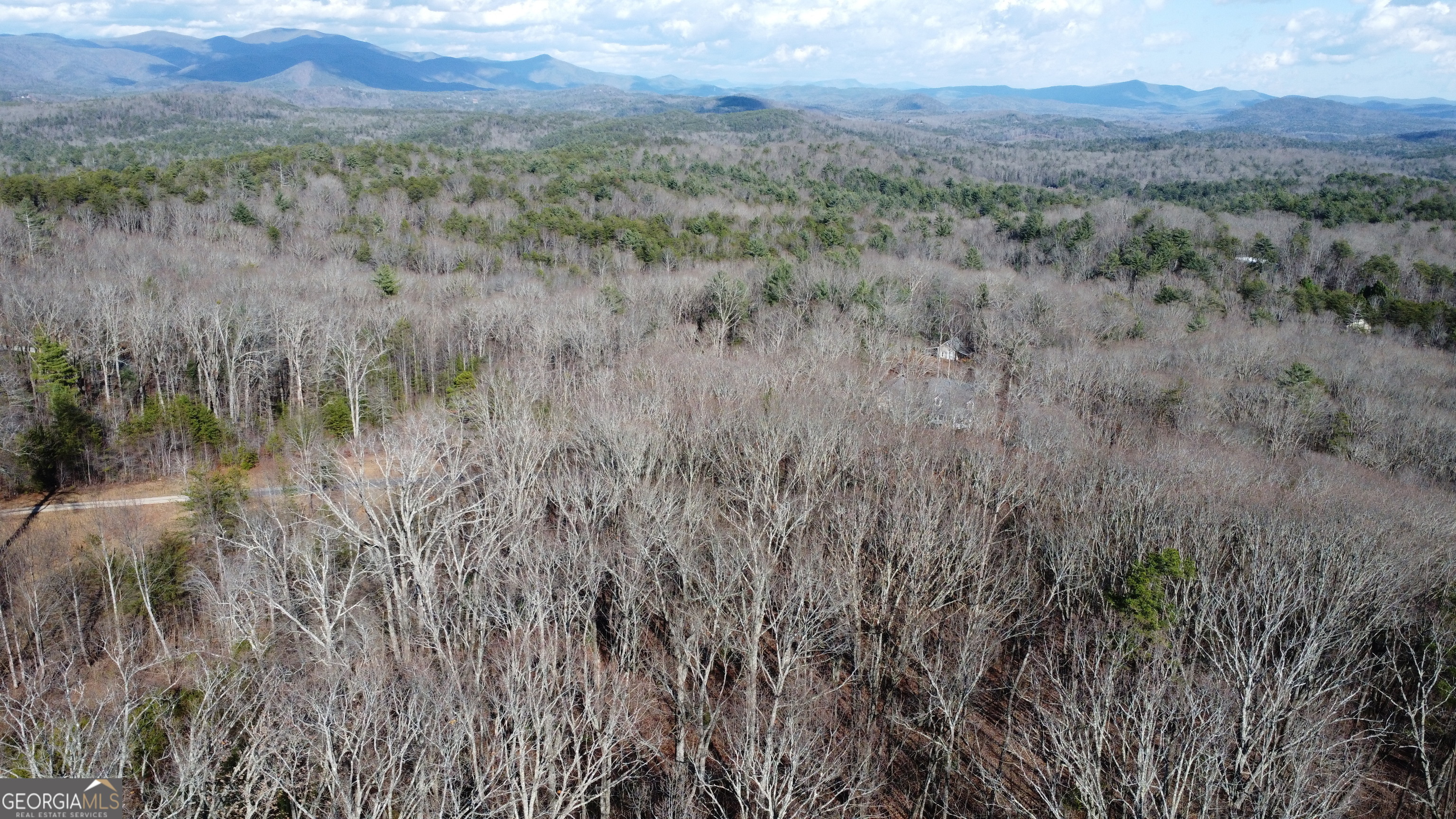0 Sassafrass Ridge Drive Property Photo 19