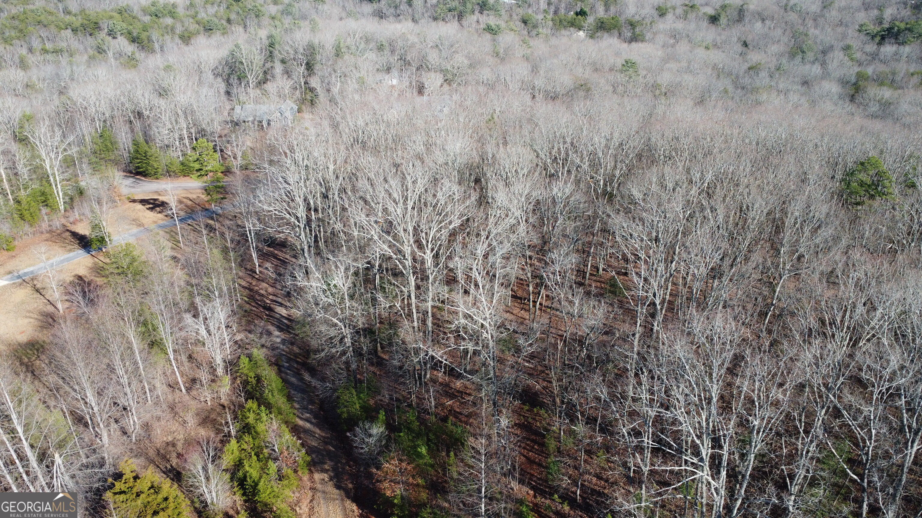 0 Sassafrass Ridge Drive Property Photo 21