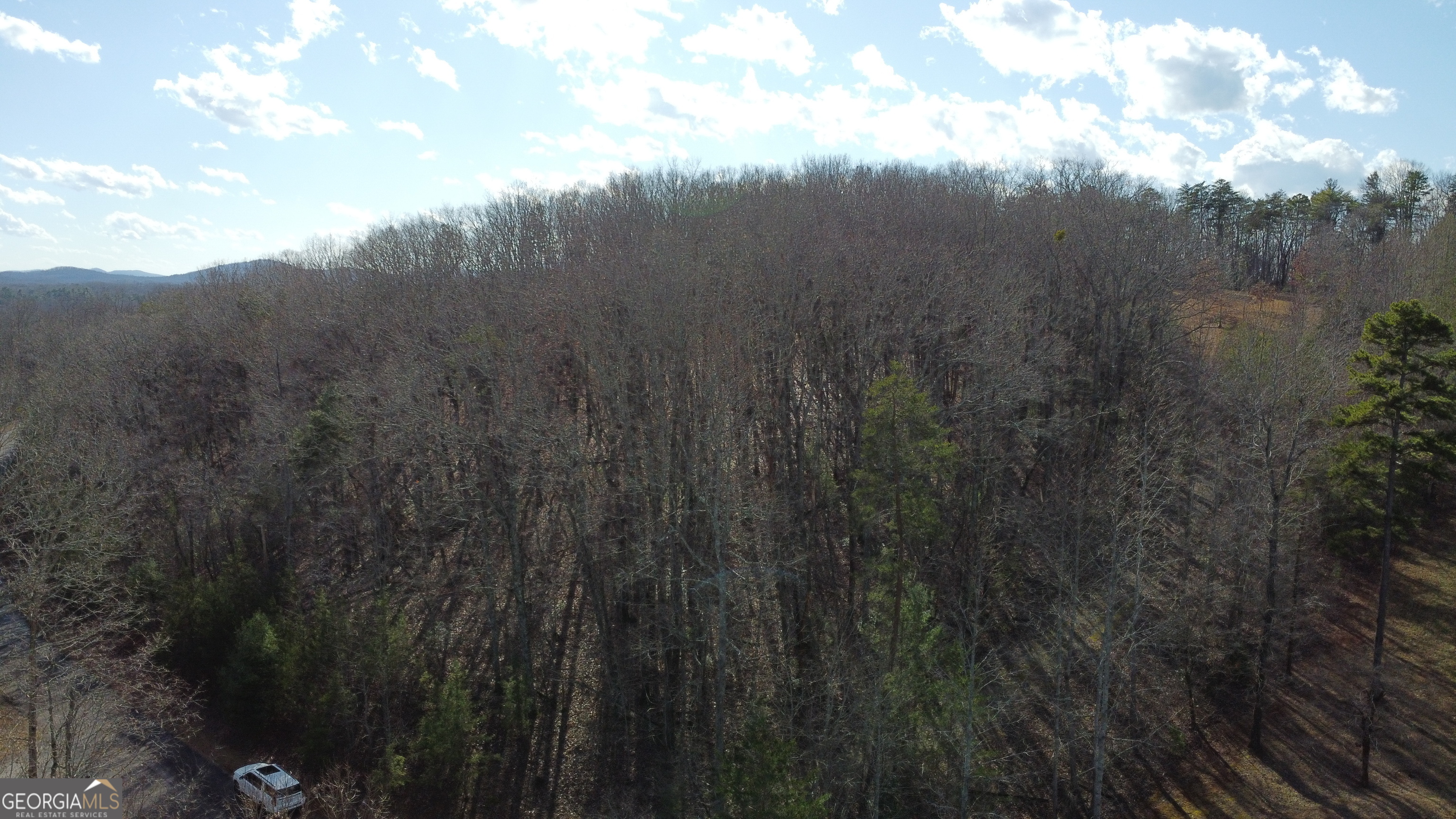 0 Sassafrass Ridge Drive Property Photo 23