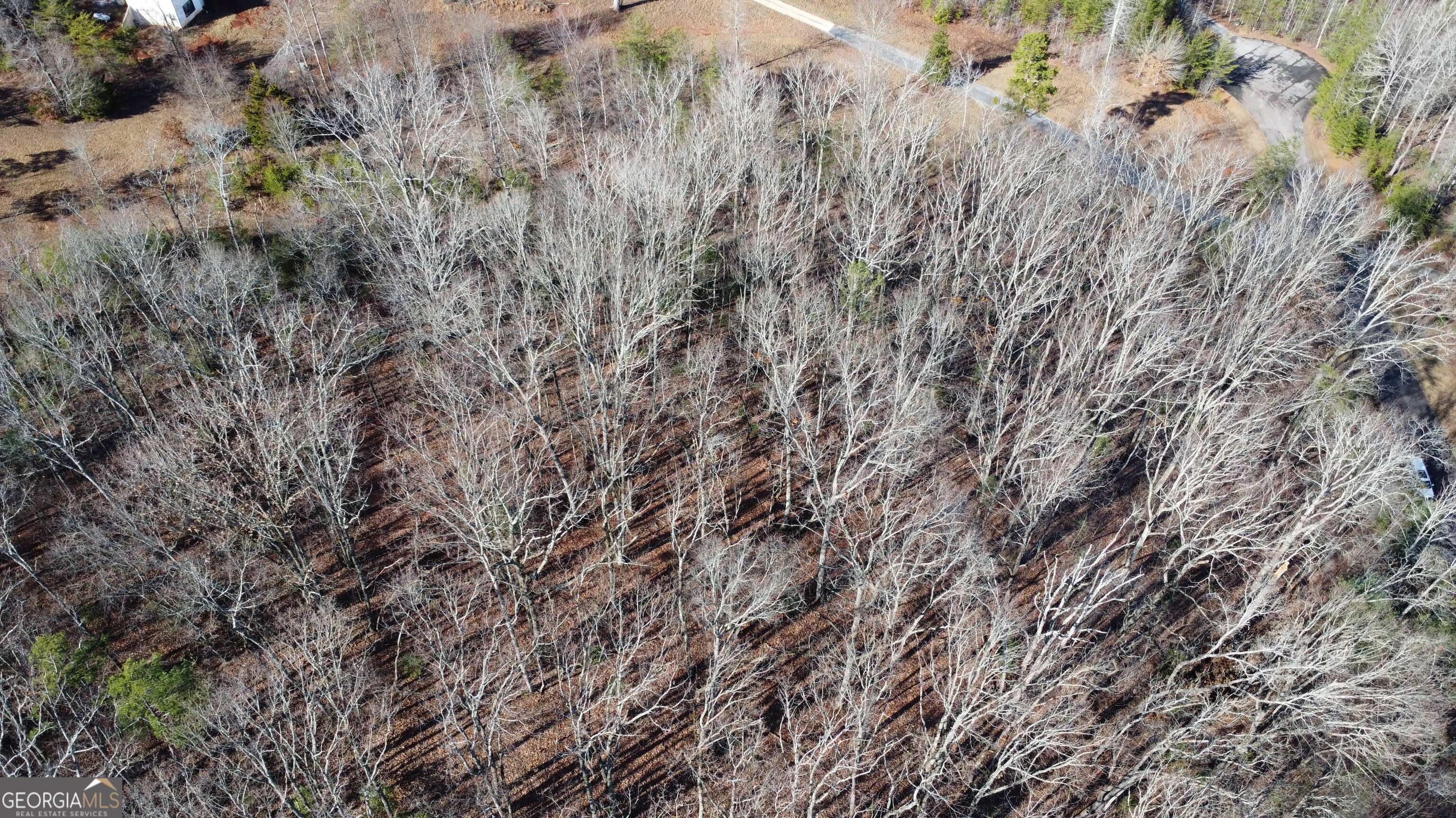 0 Sassafrass Ridge Drive Property Photo 24