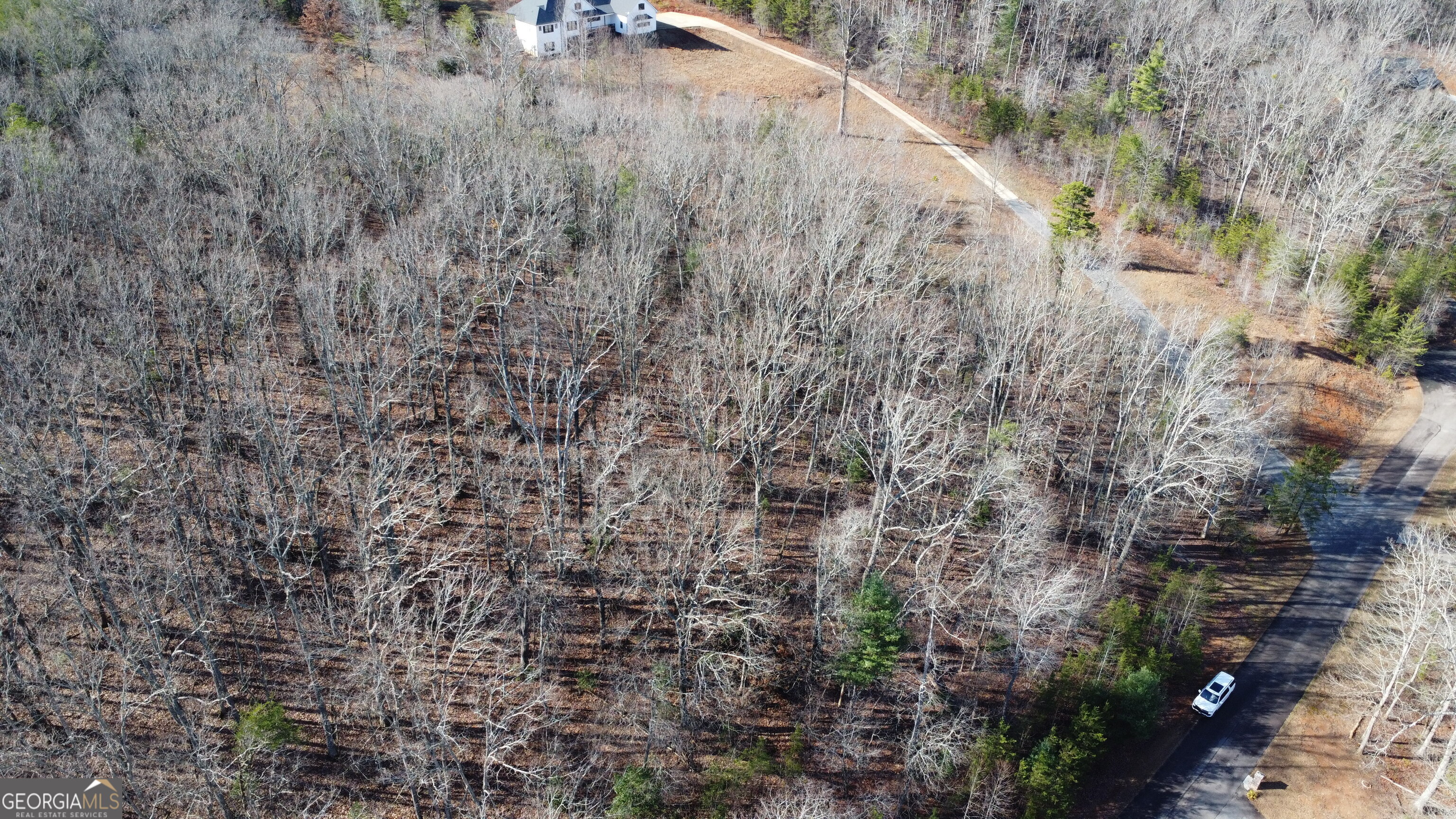 0 Sassafrass Ridge Drive Property Photo 25