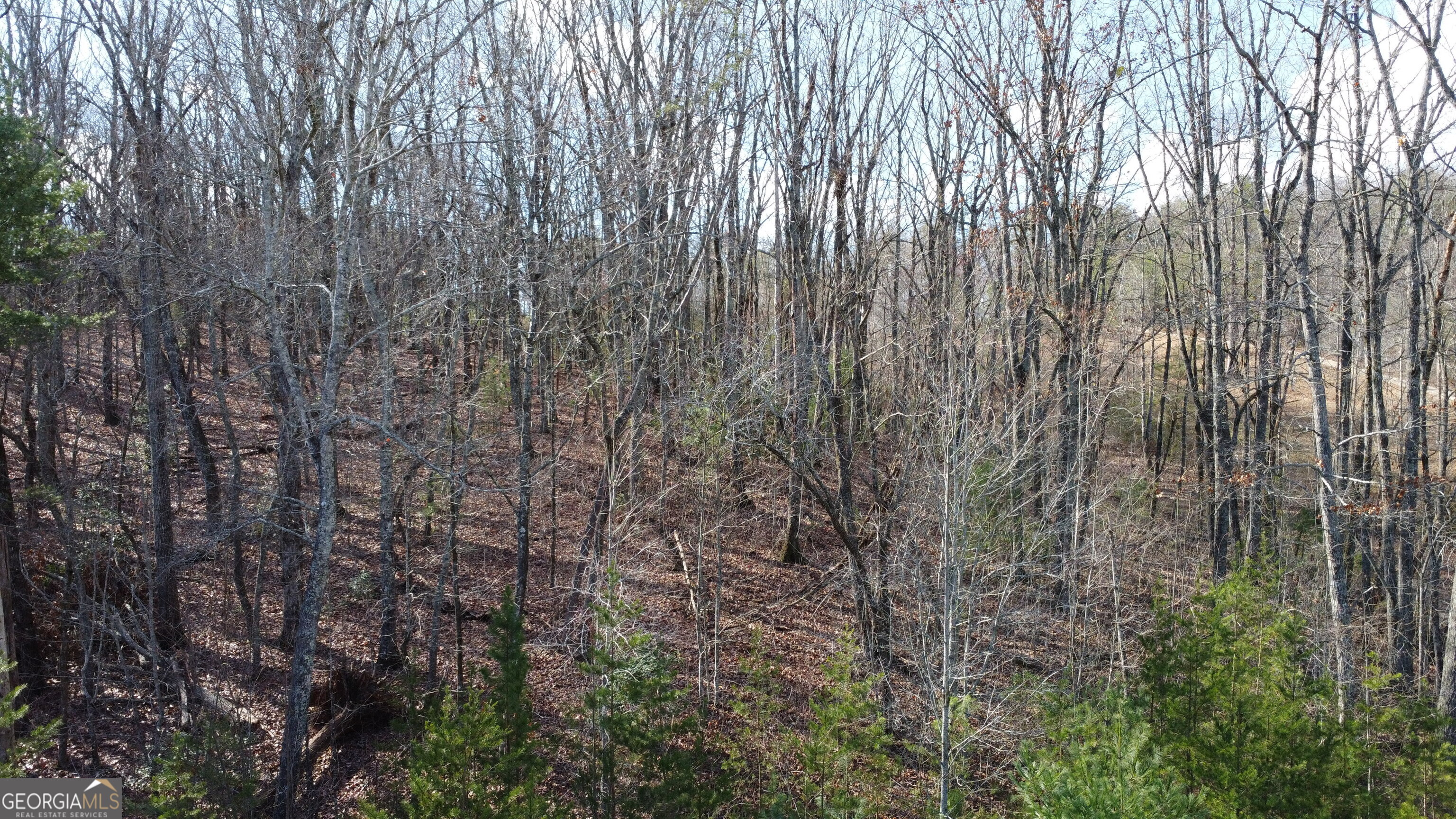 0 Sassafrass Ridge Drive Property Photo 29