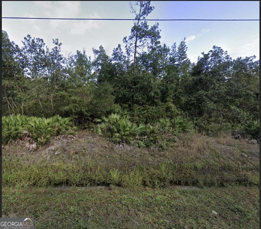 254 Live Oak Lane Property Photo 3