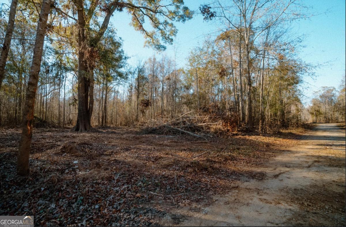 0 Getaway Lane Property Photo 3