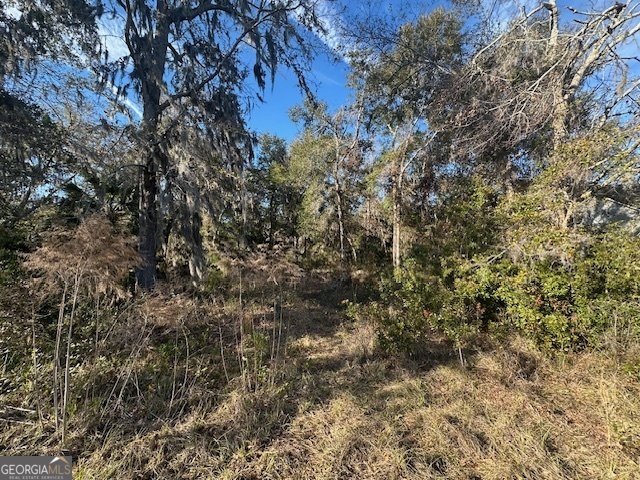 V/L 276 Harbour Island Circle Property Photo 1