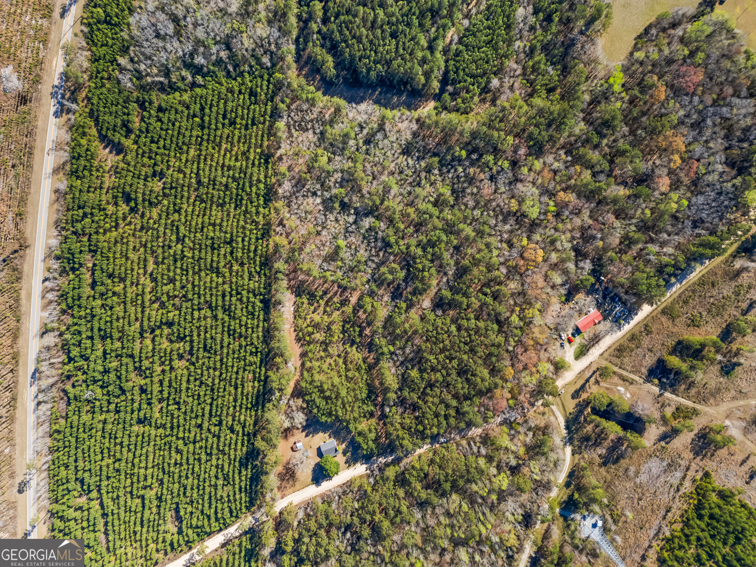 1014 Iler Road Property Photo 3