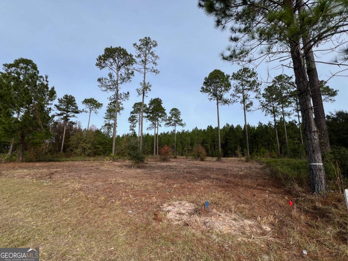 597 Salt Creek Way E Property Photo 1