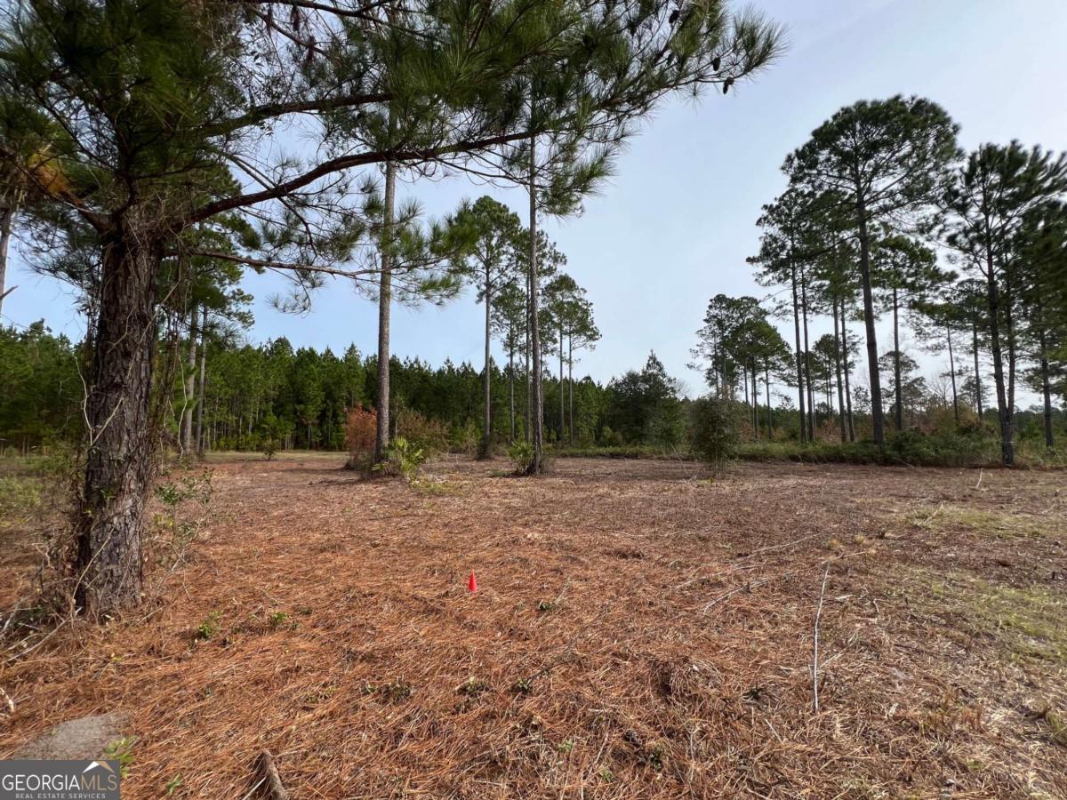 597 Salt Creek Way E Property Photo 2