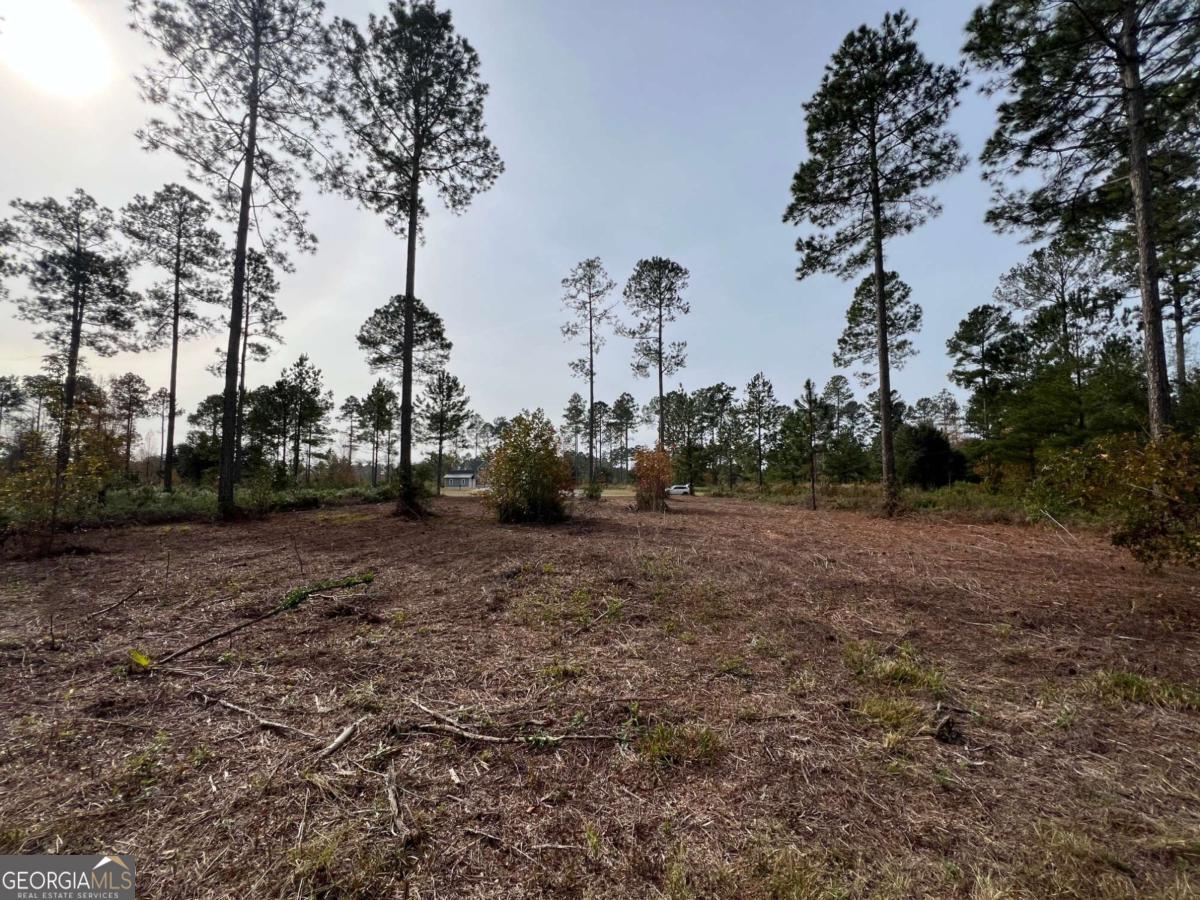 597 Salt Creek Way E Property Photo 5