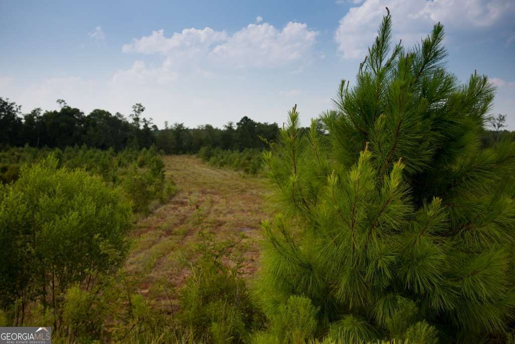 597 Salt Creek Way E Property Photo 29