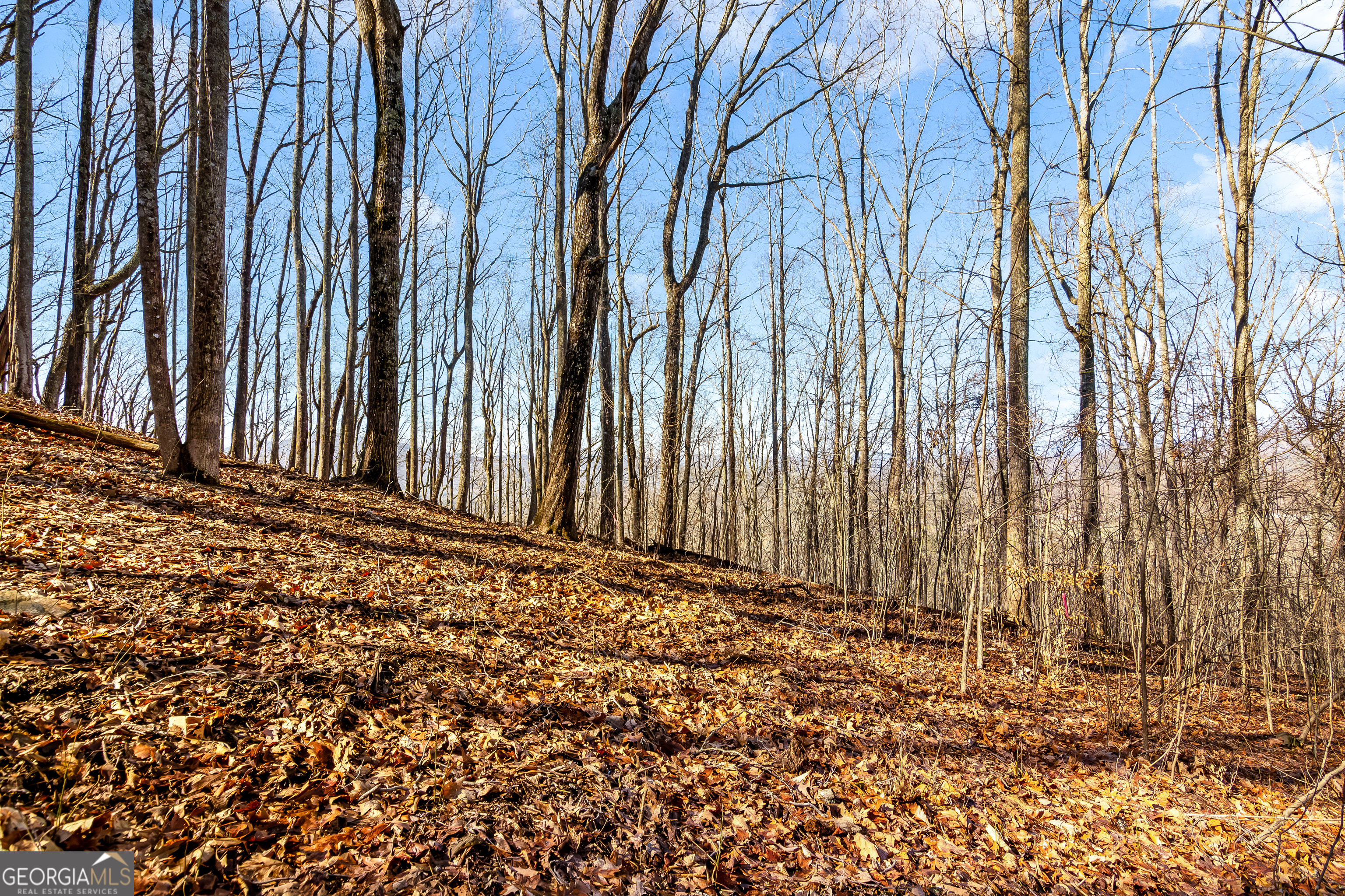 Lot 6 Rocky Knob Lane Property Photo 4