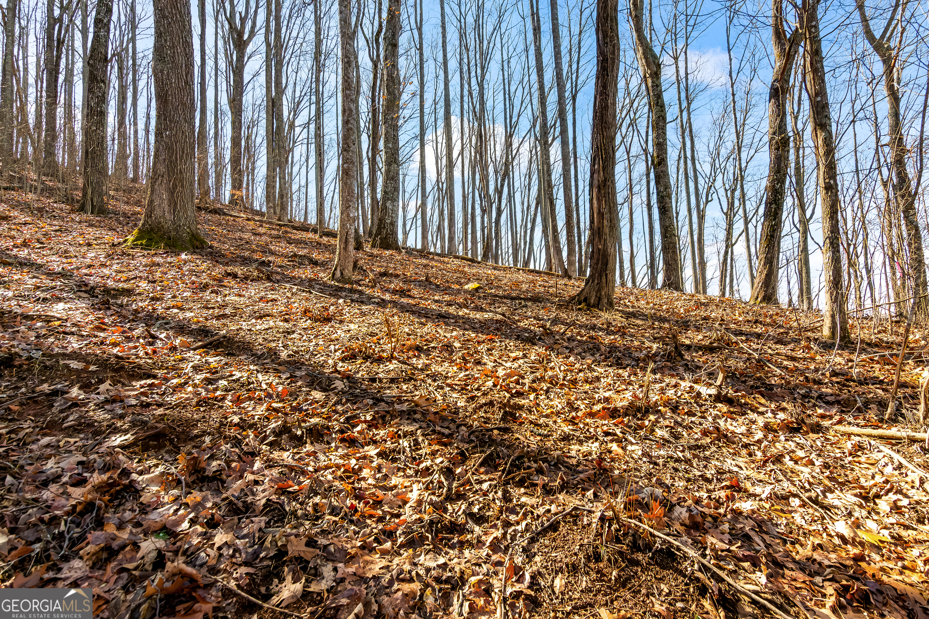 Lot 6 Rocky Knob Lane Property Photo 6