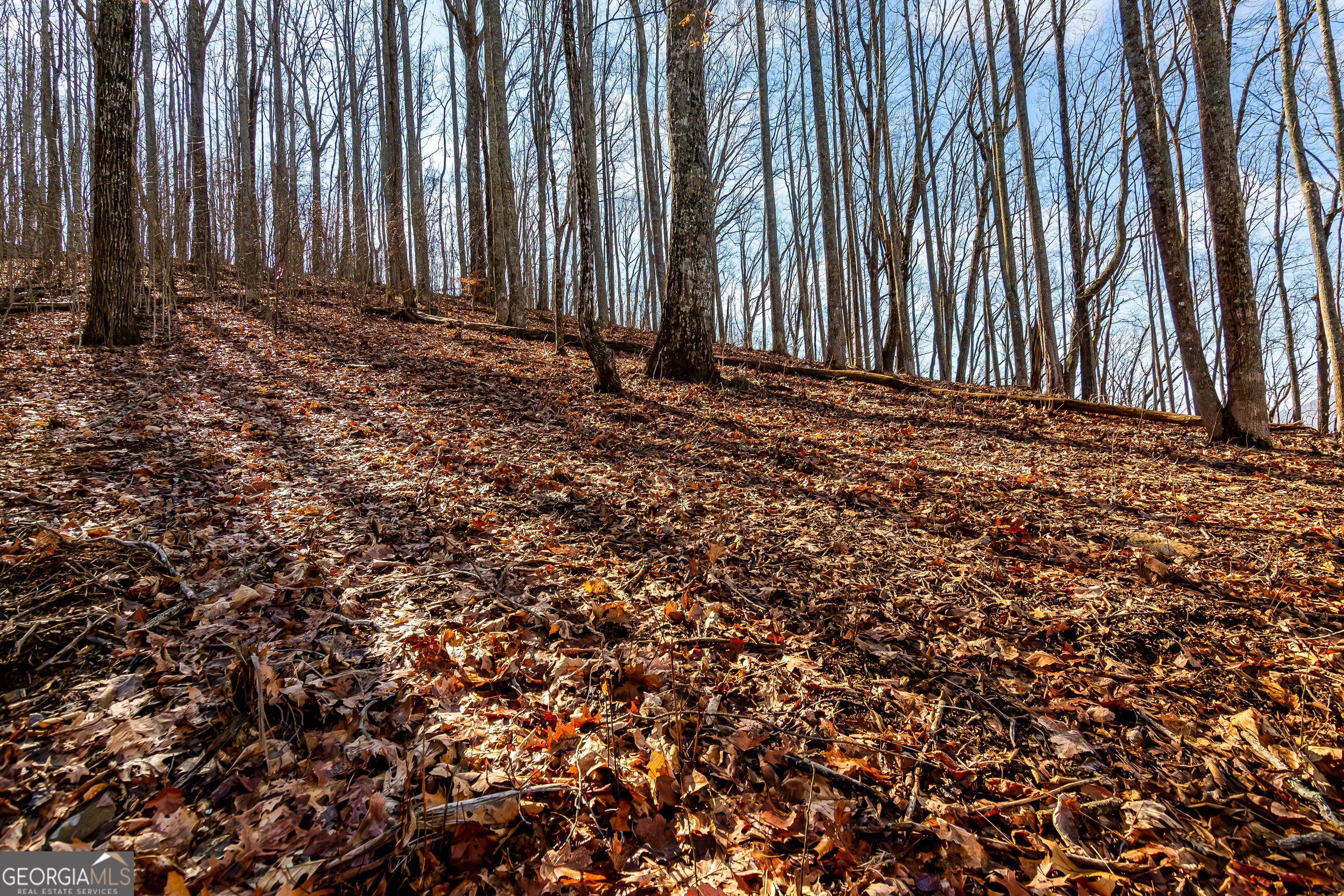 Lot 6 Rocky Knob Lane Property Photo 7