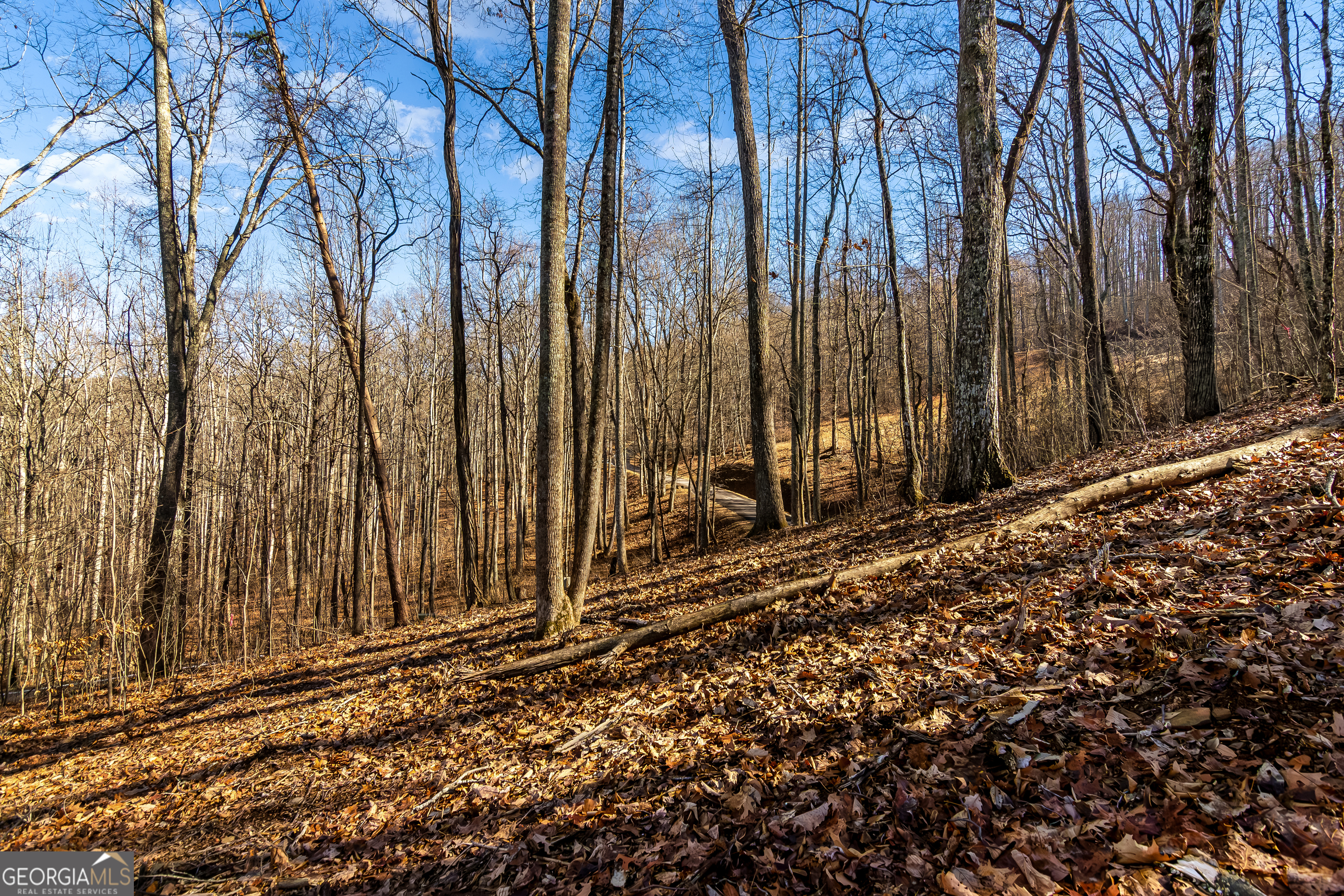 Lot 6 Rocky Knob Lane Property Photo 8