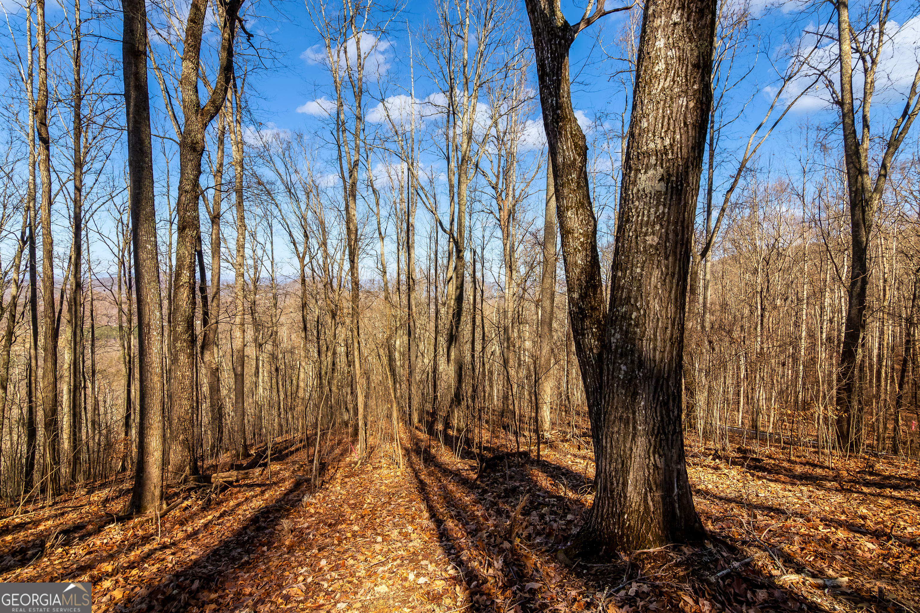 Lot 6 Rocky Knob Lane Property Photo 9