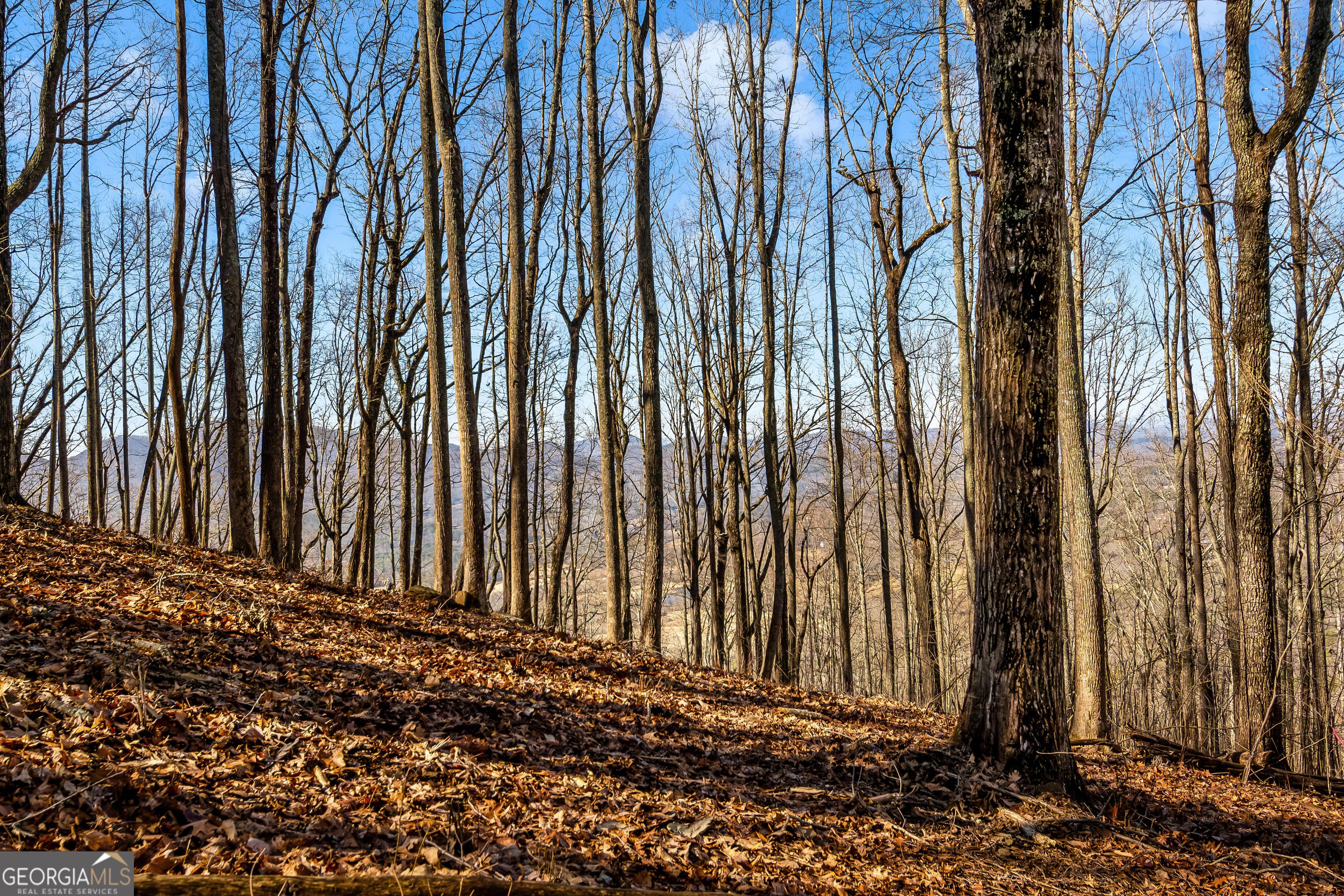 Lot 6 Rocky Knob Lane Property Photo 27