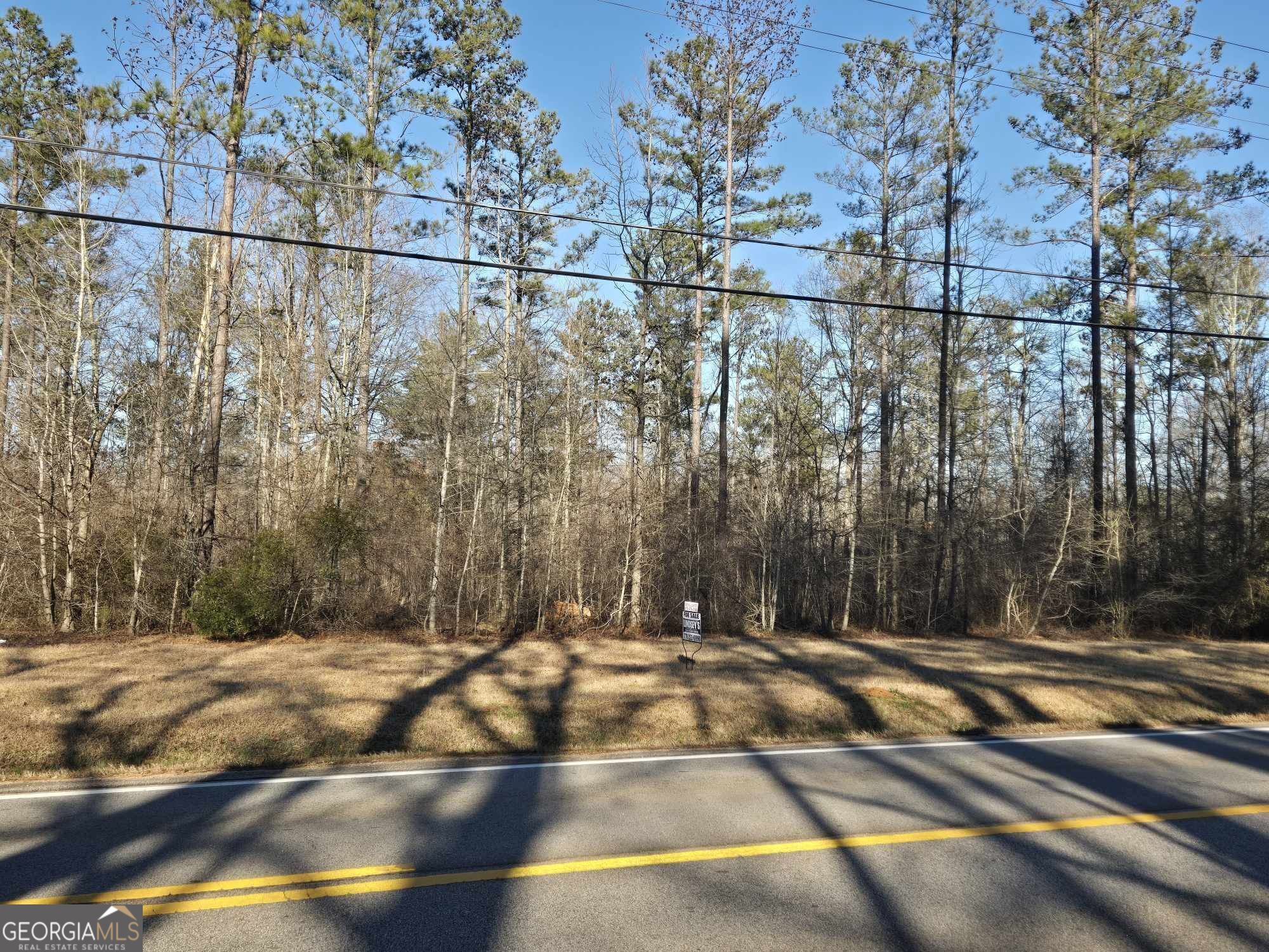 0 Old Jackson Road Property Photo 2