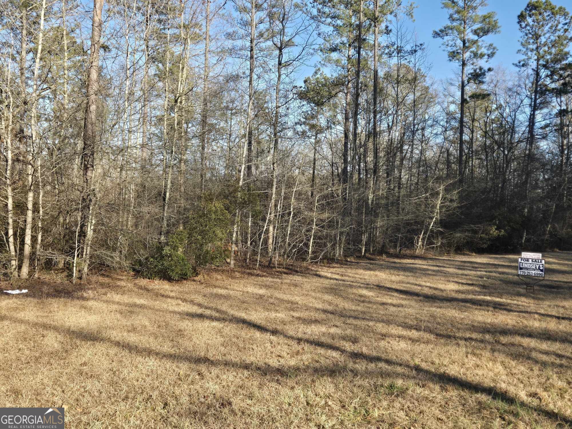 0 Old Jackson Road Property Photo 3