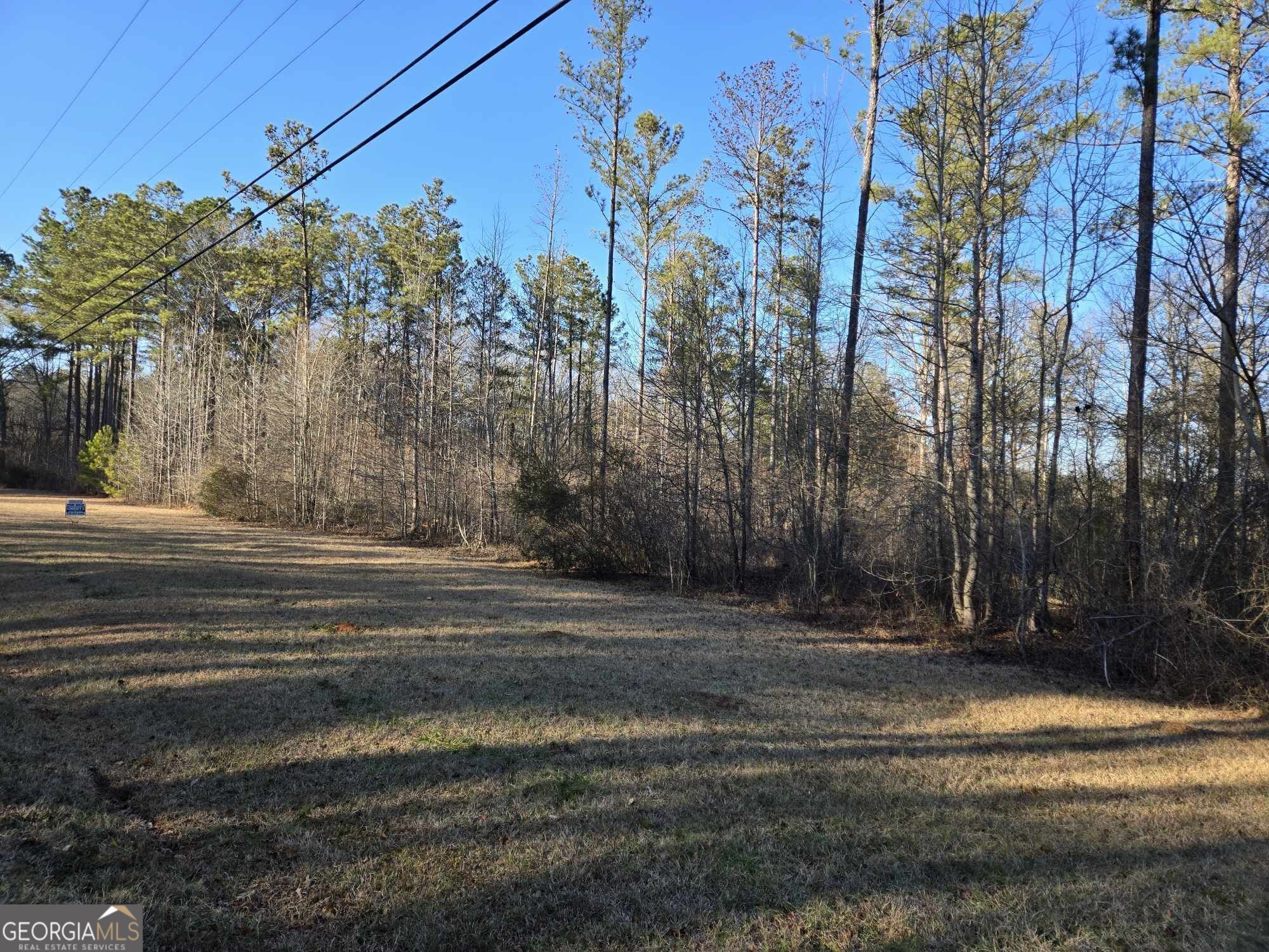 0 Old Jackson Road Property Photo 4