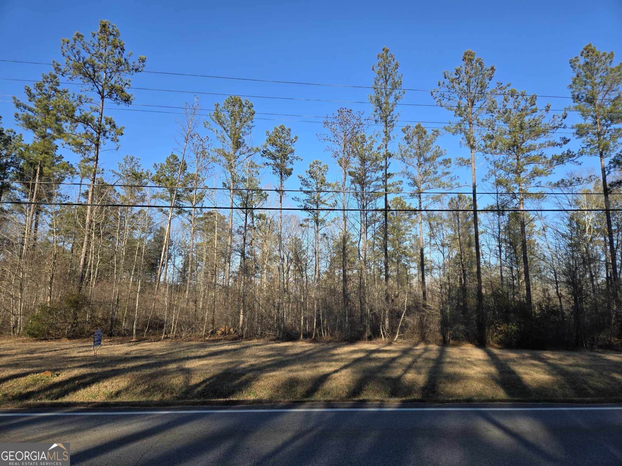0 Old Jackson Road Property Photo 5