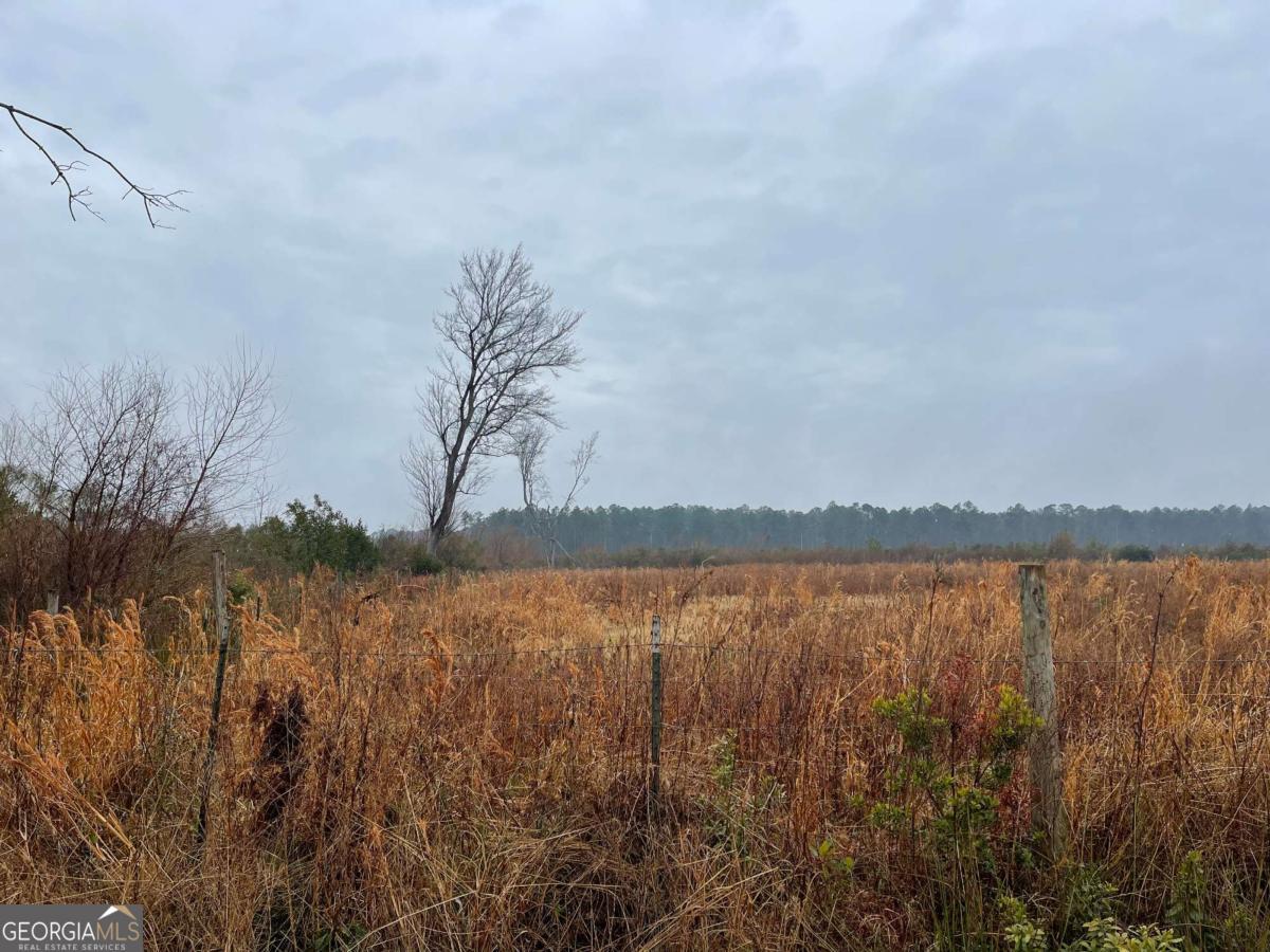 00 Carl Cravey Rd - Lots 1 Property Photo