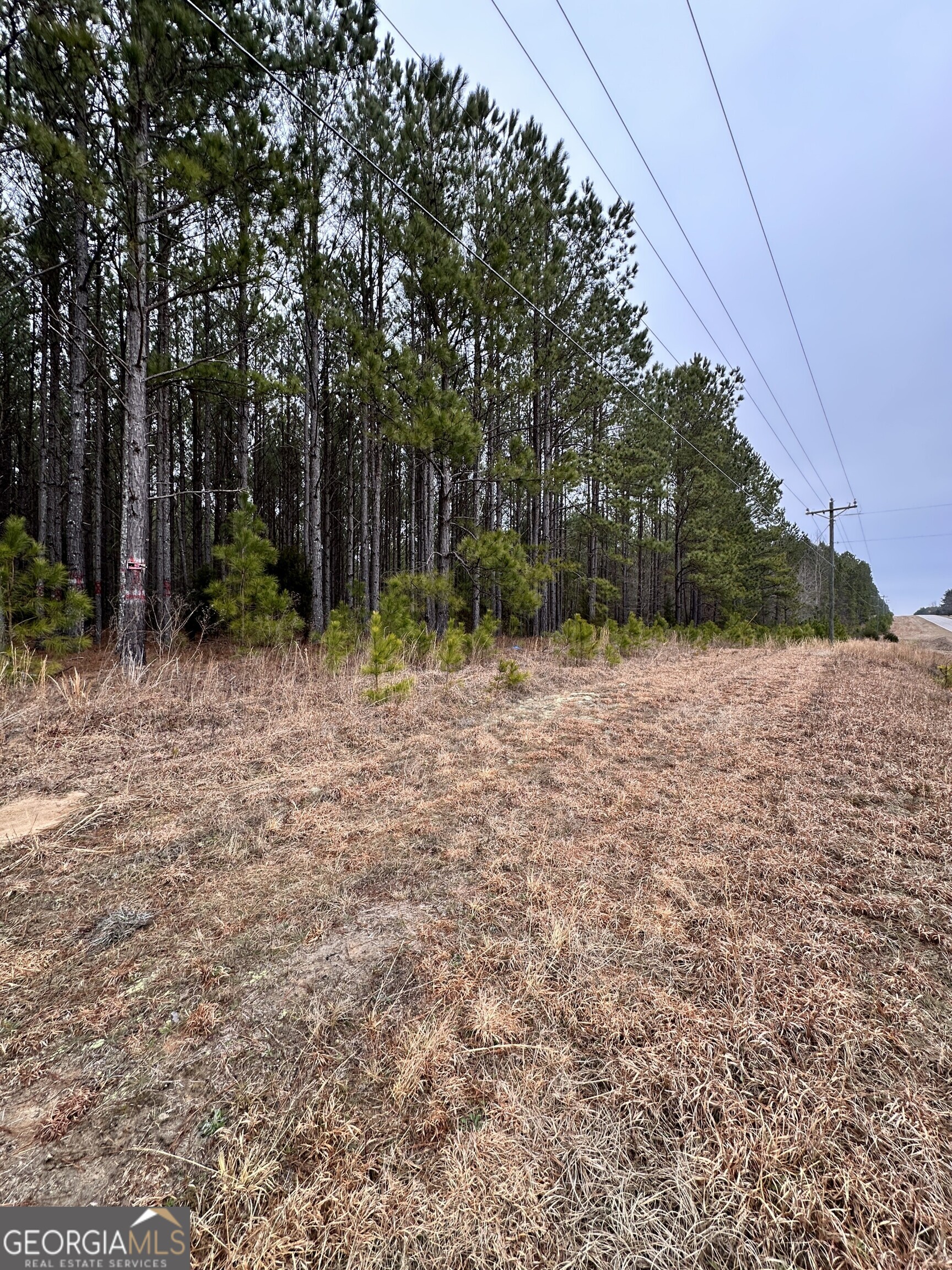 1707 Elberton Road Property Photo