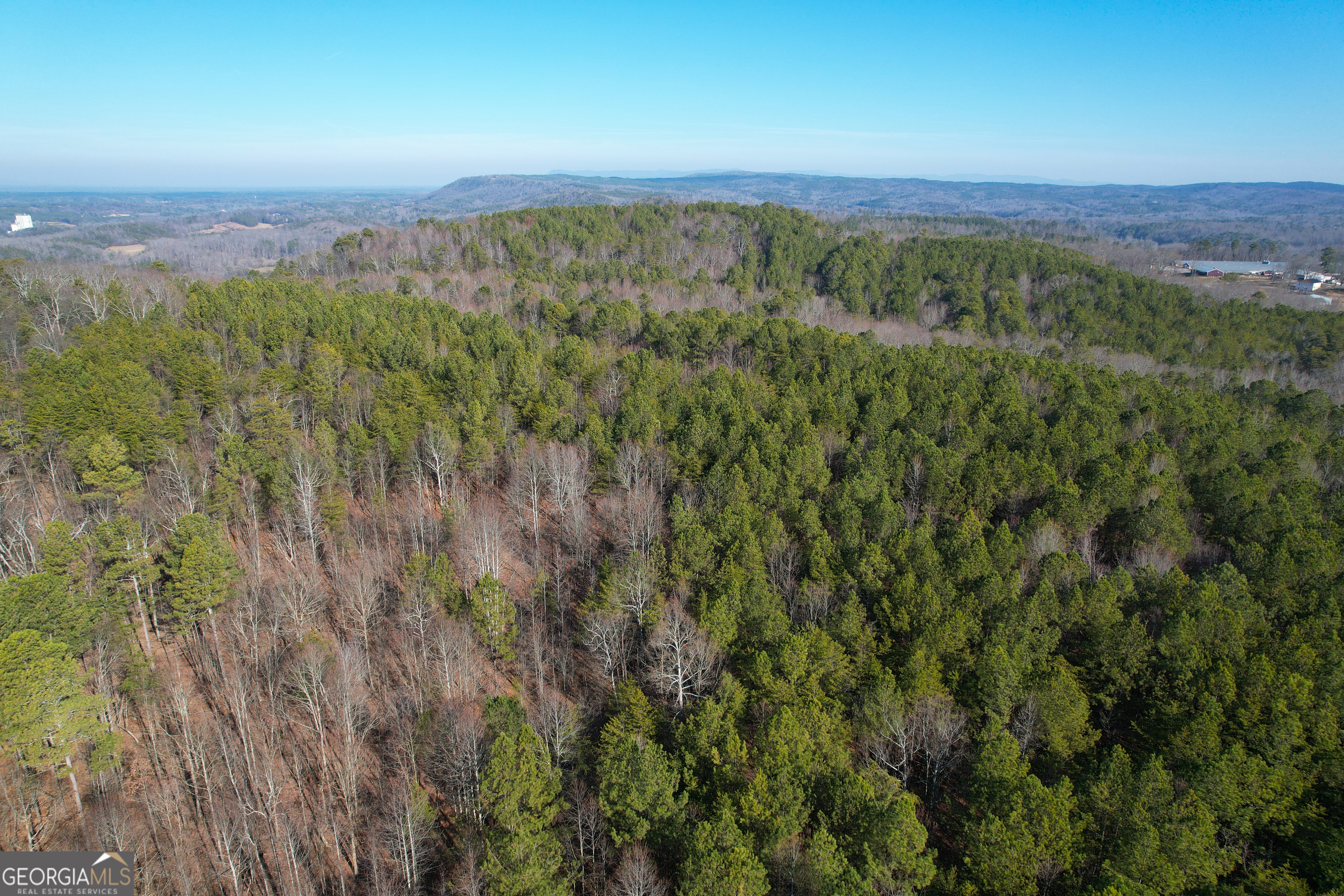125 +/- Acres Off Ga Hwy 53 And Firetower Rd. Property Photo