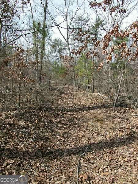 9030 Old Terry Ford Road Property Photo 5