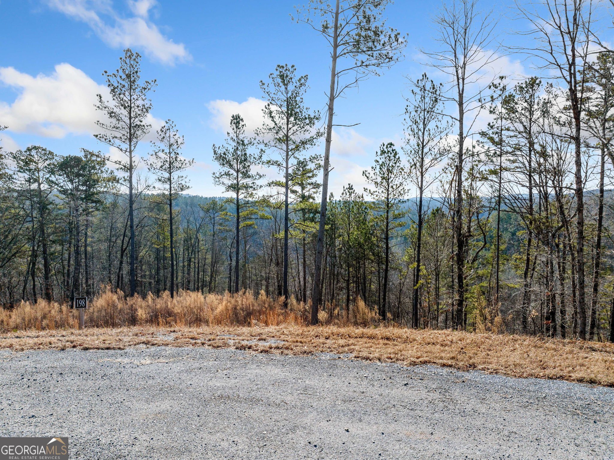 198 Blalock Mountain Crt Property Photo 3