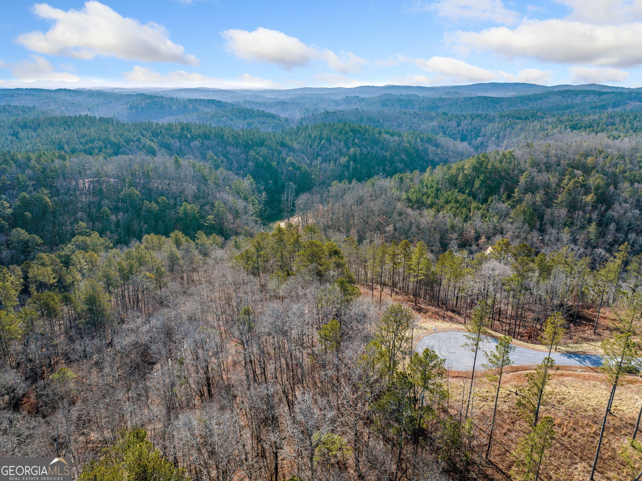 198 Blalock Mountain Crt Property Photo 4