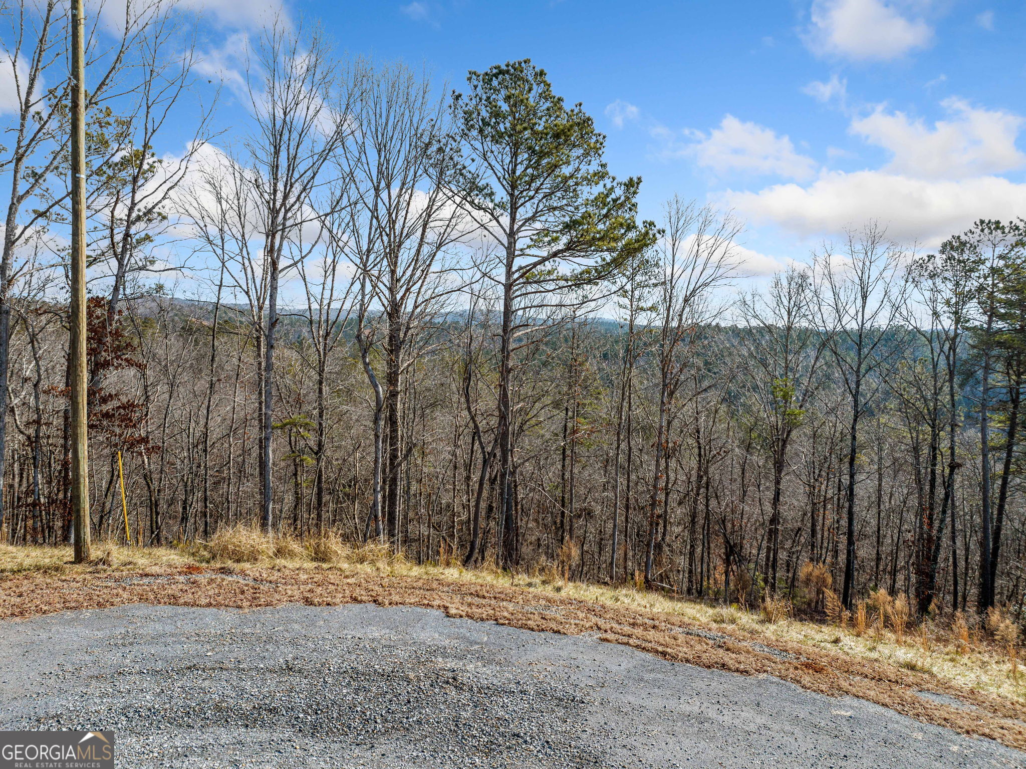198 Blalock Mountain Crt Property Photo 10