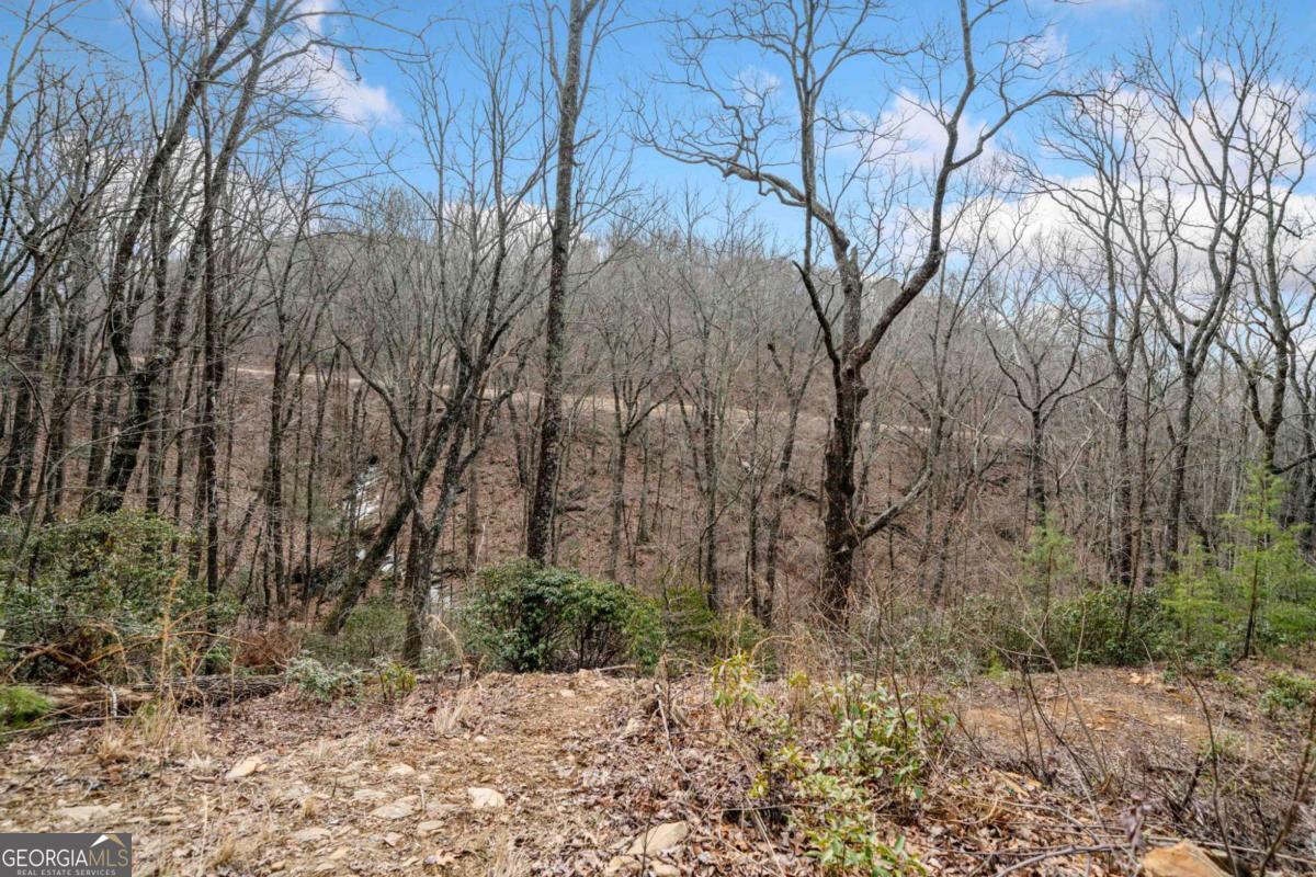 0 Big Oak Drive Property Photo 3