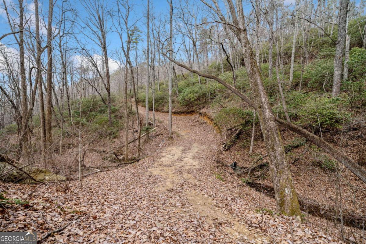 0 Big Oak Drive Property Photo 6