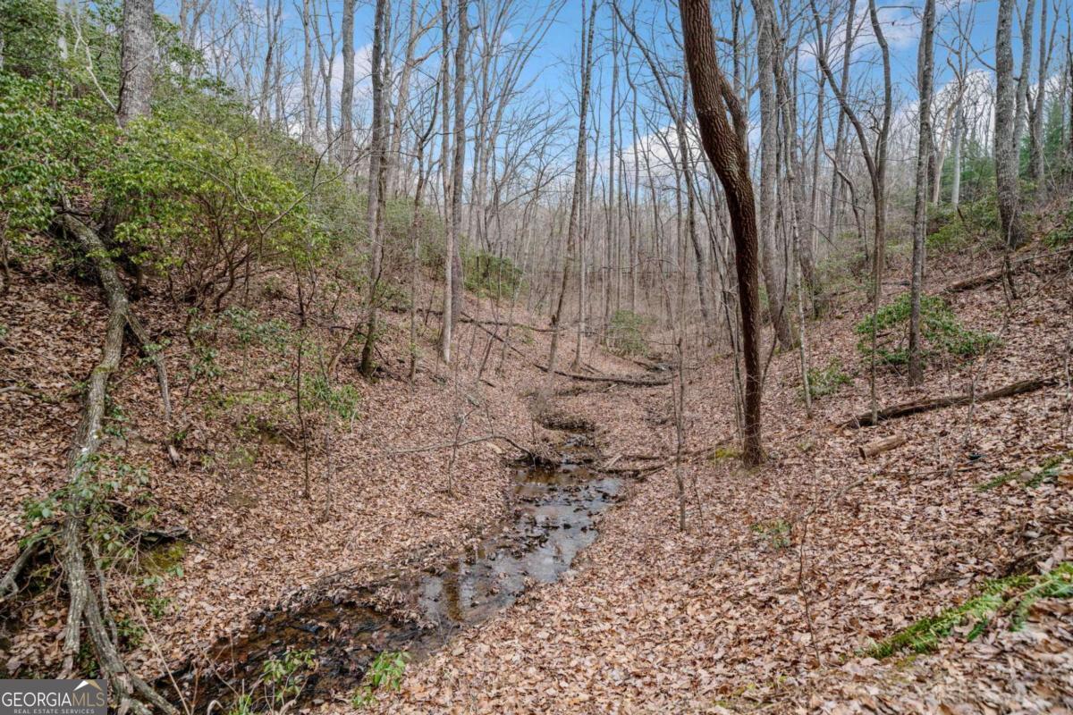 0 Big Oak Drive Property Photo 7
